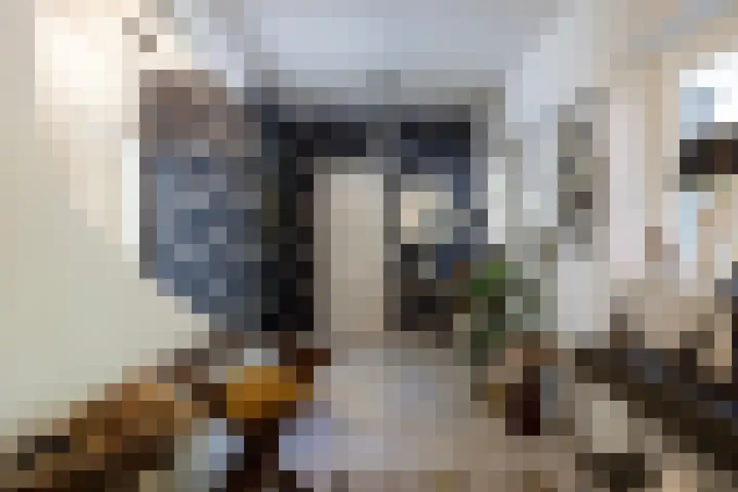 Kieftweg 15 Hierden thumbnail 39
