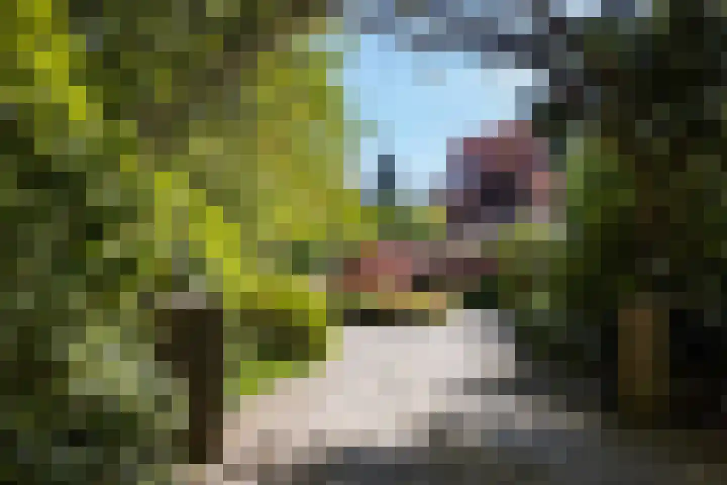 Kieftweg 15 Hierden thumbnail 4