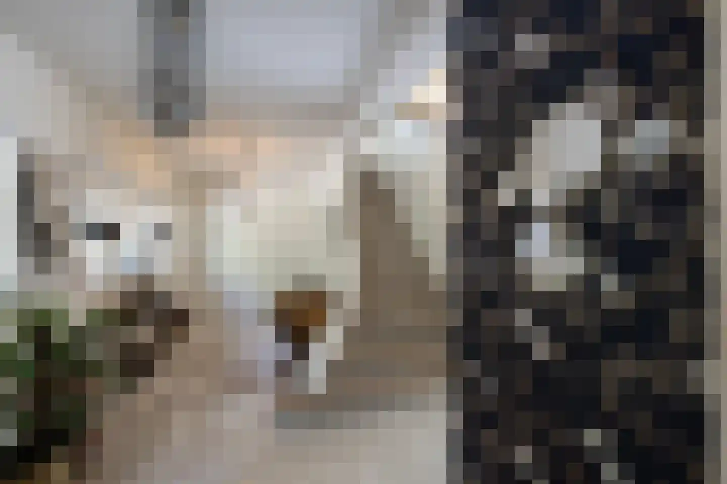 Kieftweg 15 Hierden thumbnail 49