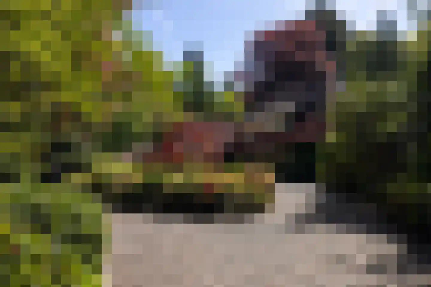 Kieftweg 15 Hierden thumbnail 5