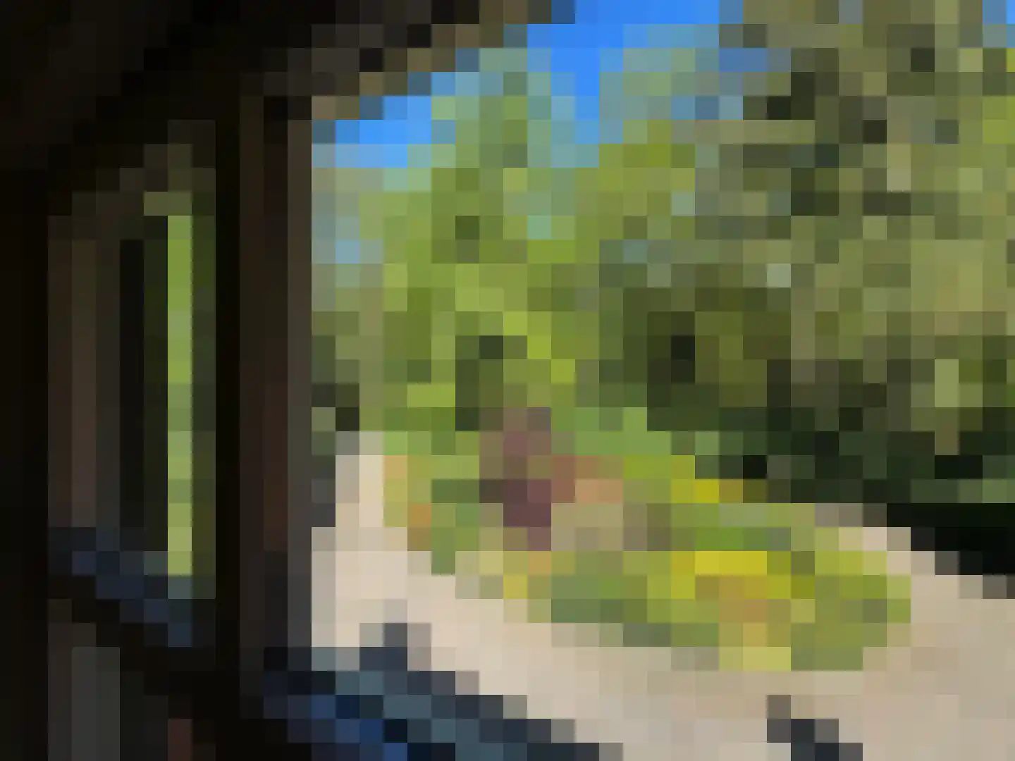 Kieftweg 15 Hierden thumbnail 53
