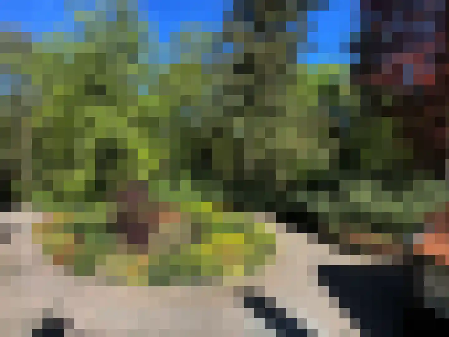 Kieftweg 15 Hierden thumbnail 54