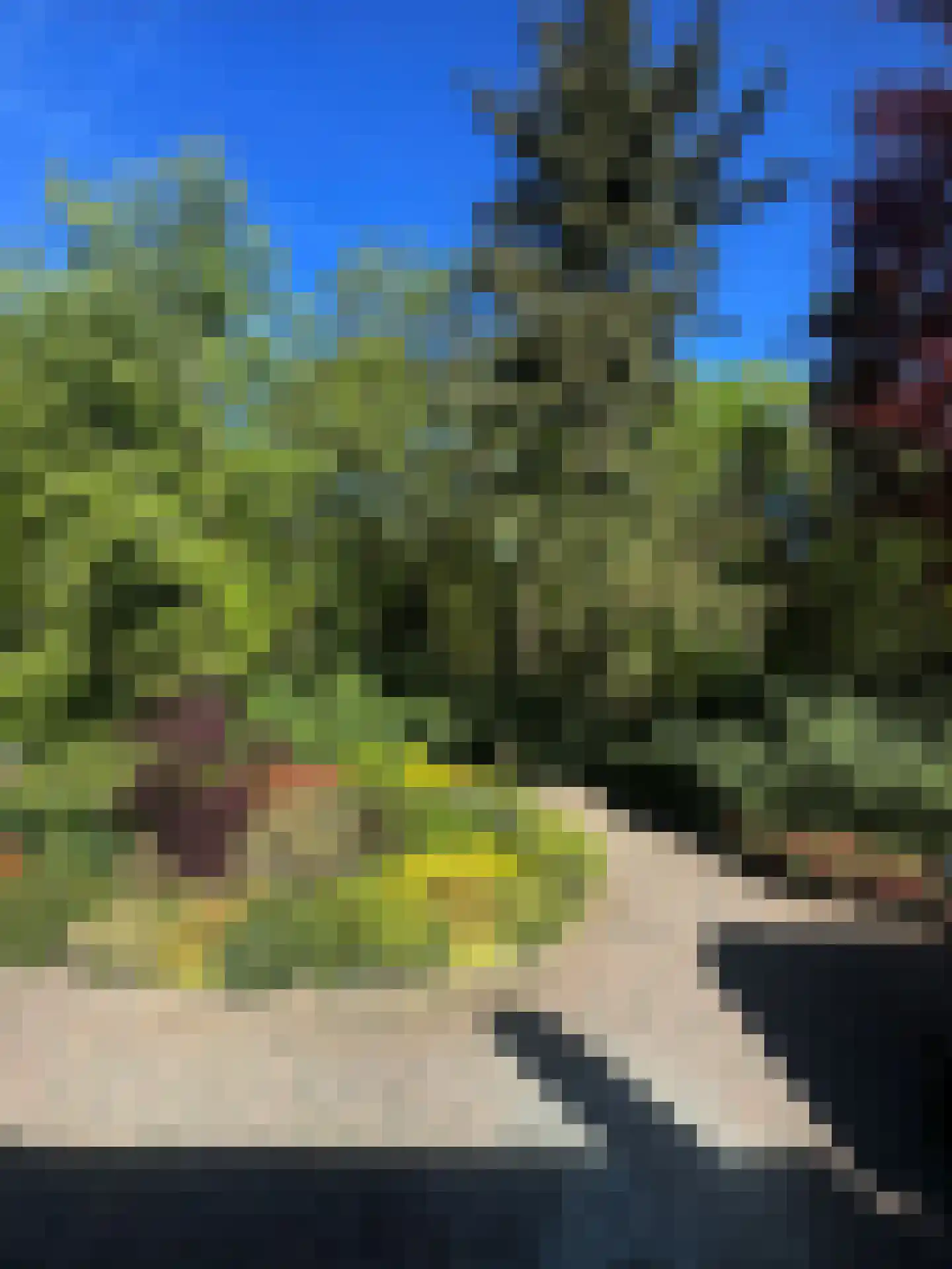 Kieftweg 15 Hierden thumbnail 55
