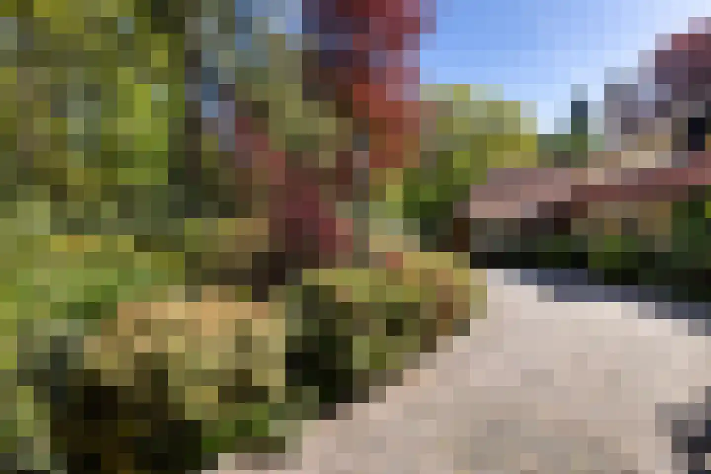 Kieftweg 15 Hierden thumbnail 6
