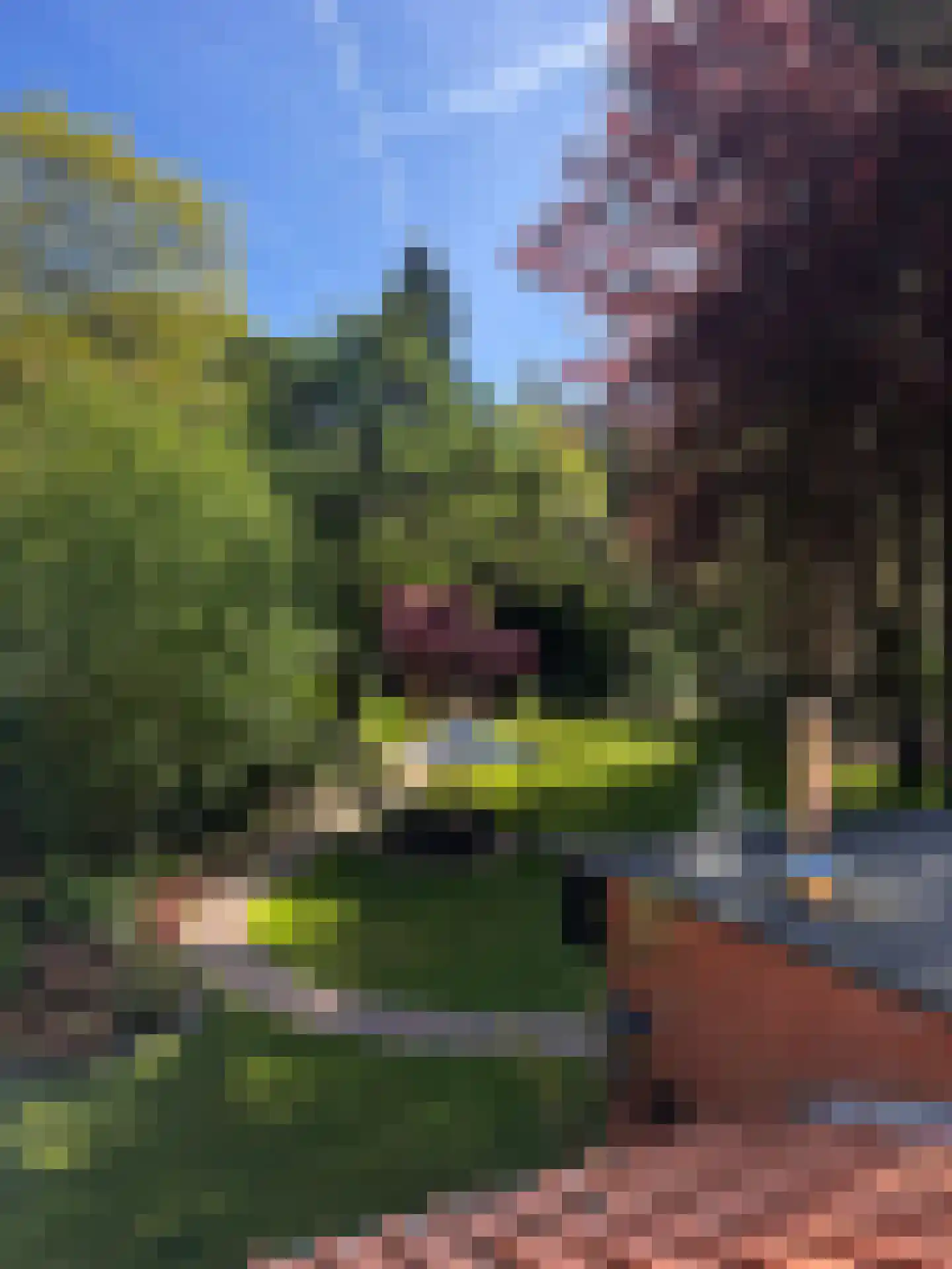 Kieftweg 15 Hierden thumbnail 73