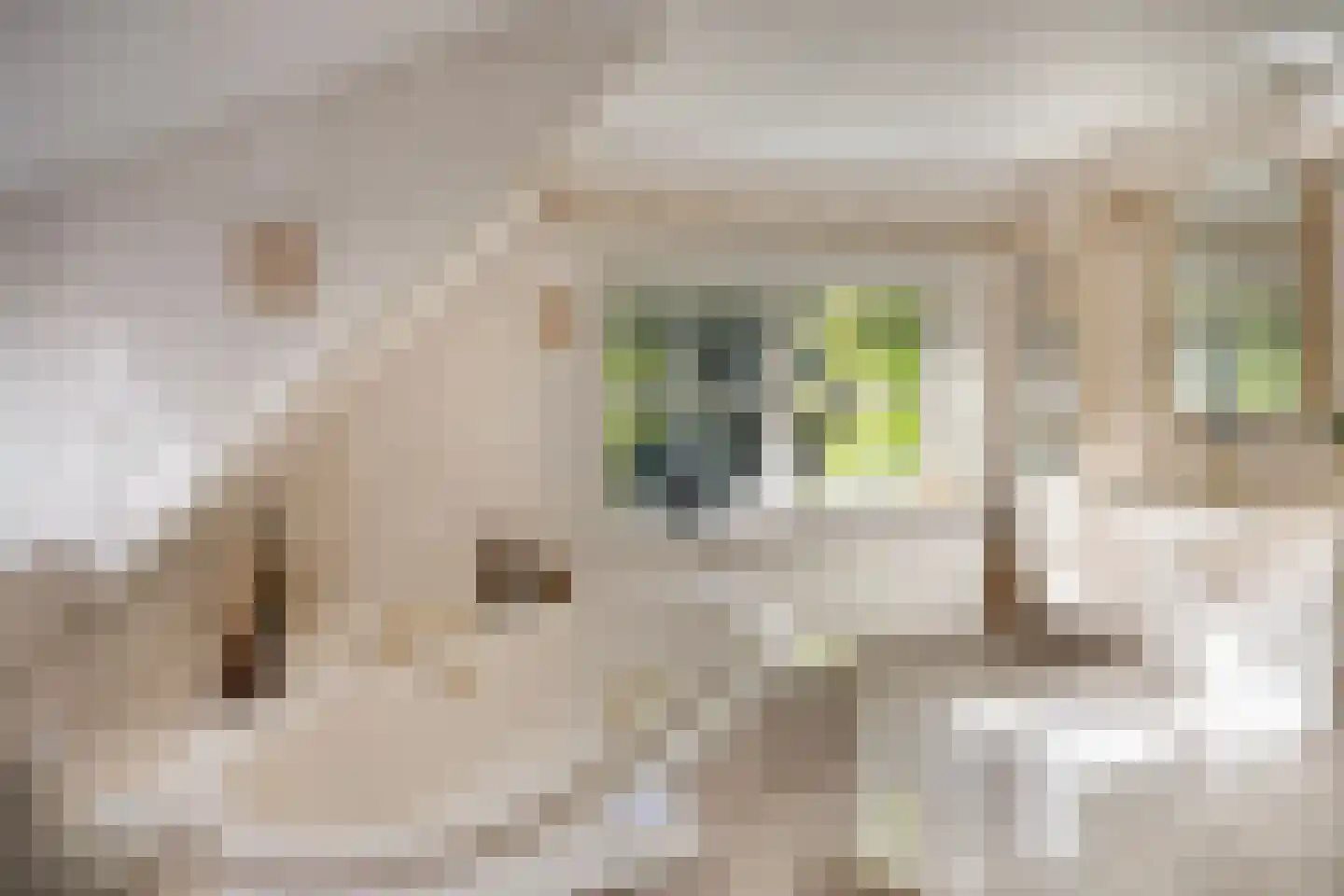 Kieftweg 15 Hierden thumbnail 74