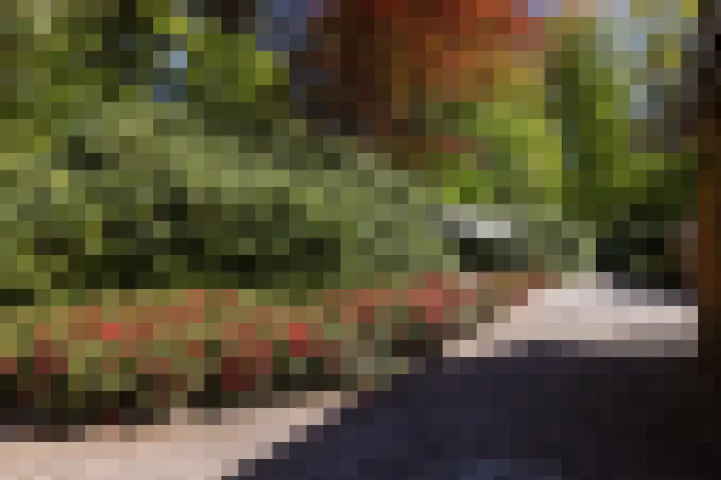 Kieftweg 15 Hierden thumbnail 81
