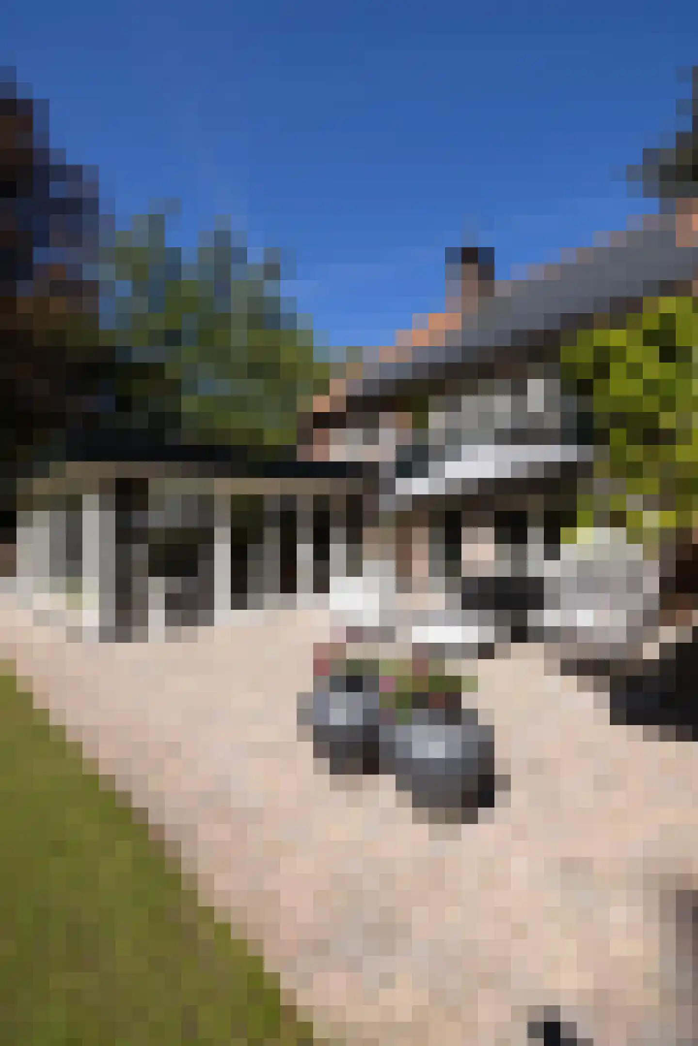 Kieftweg 15 Hierden thumbnail 88