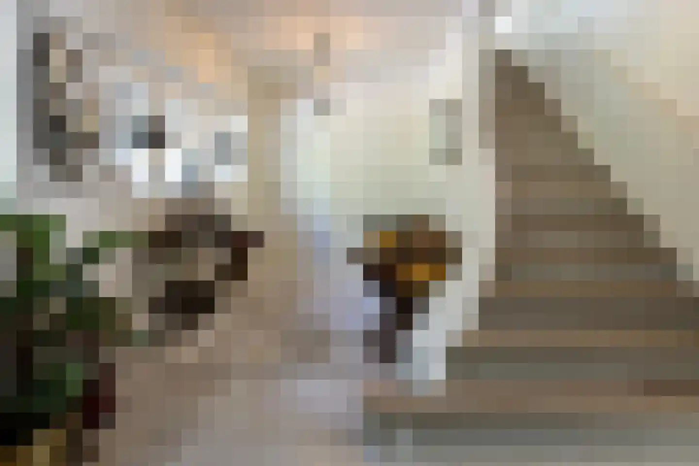 Kieftweg 15 Hierden thumbnail 9