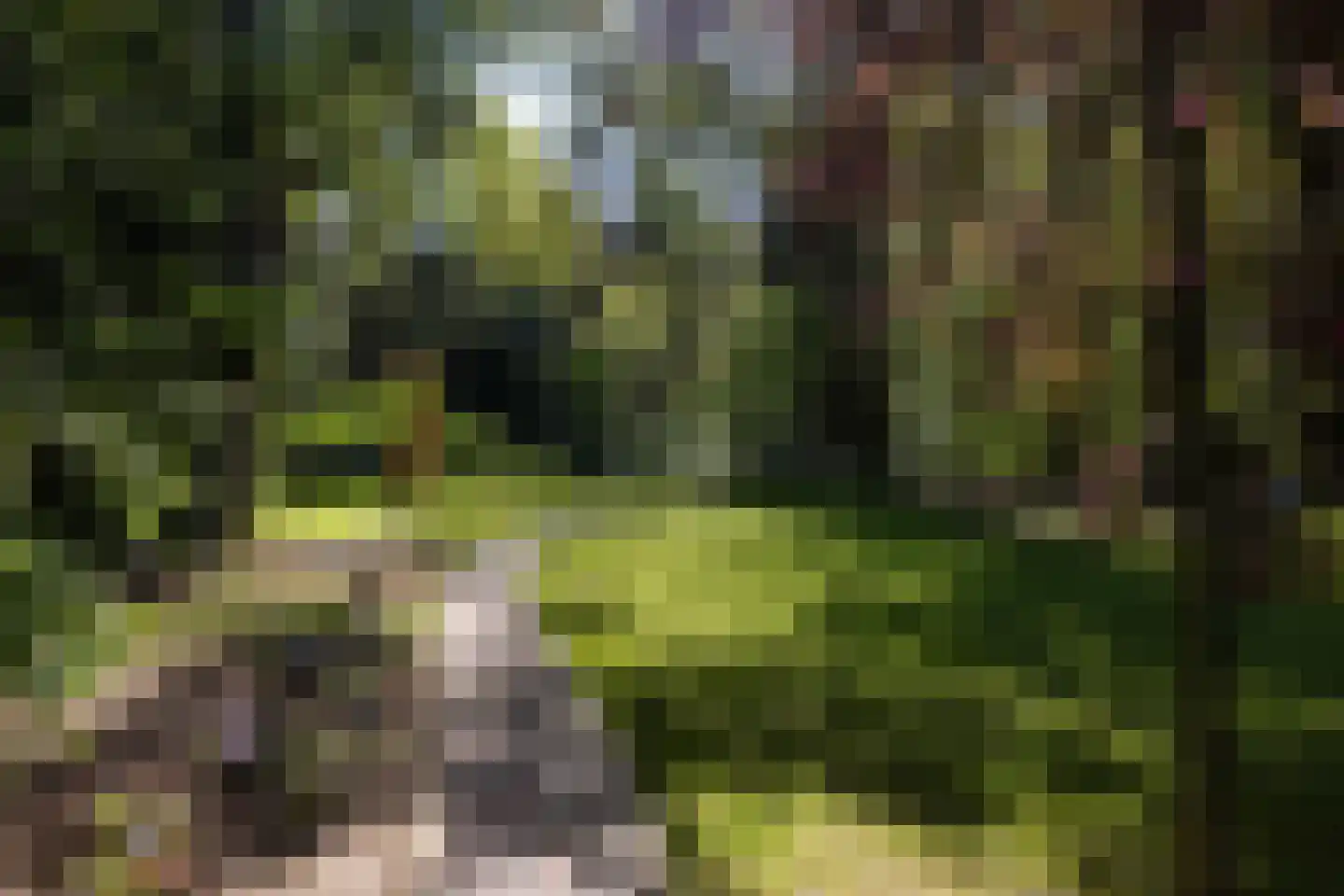 Kieftweg 15 Hierden thumbnail 92