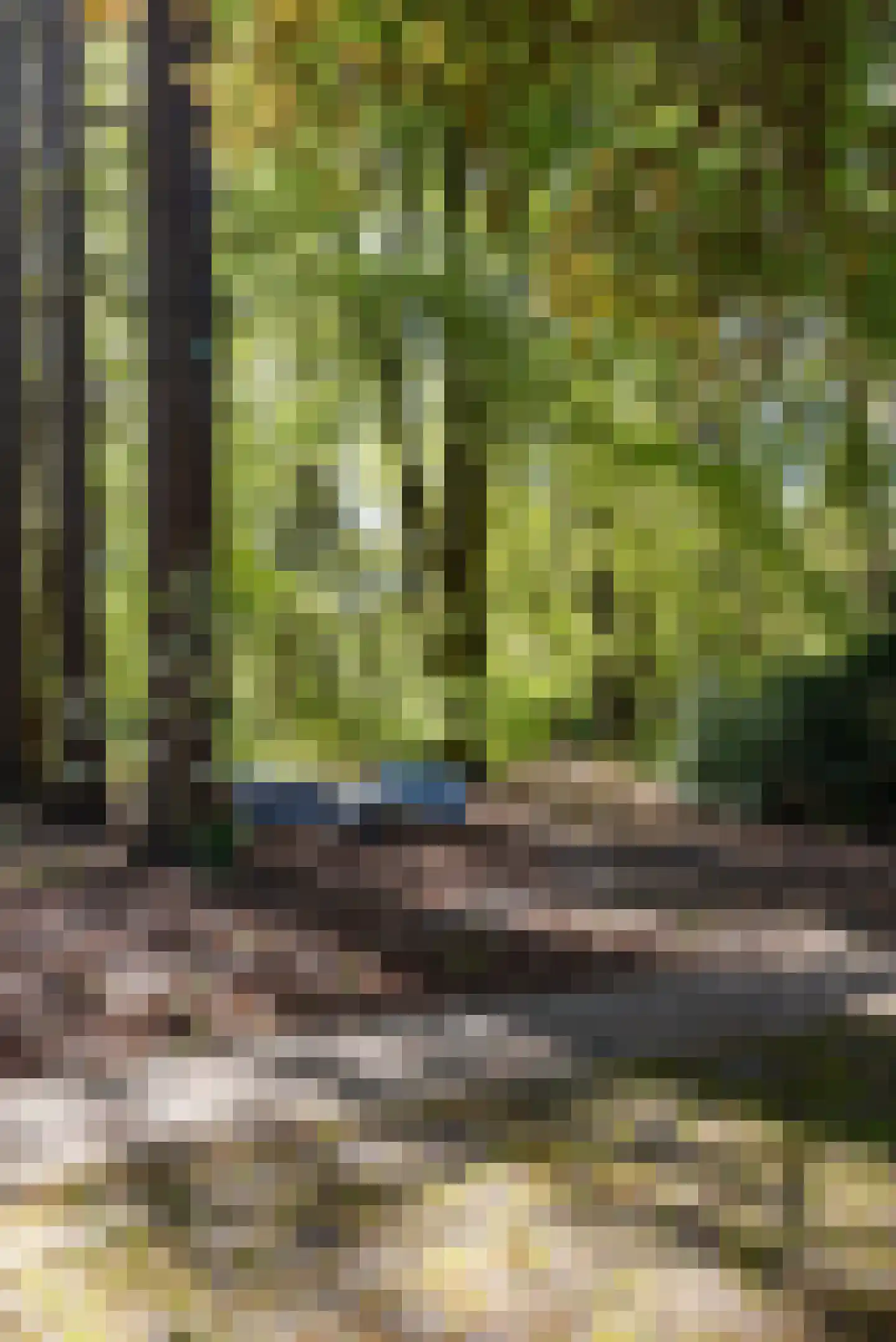 Kieftweg 15 Hierden thumbnail 93