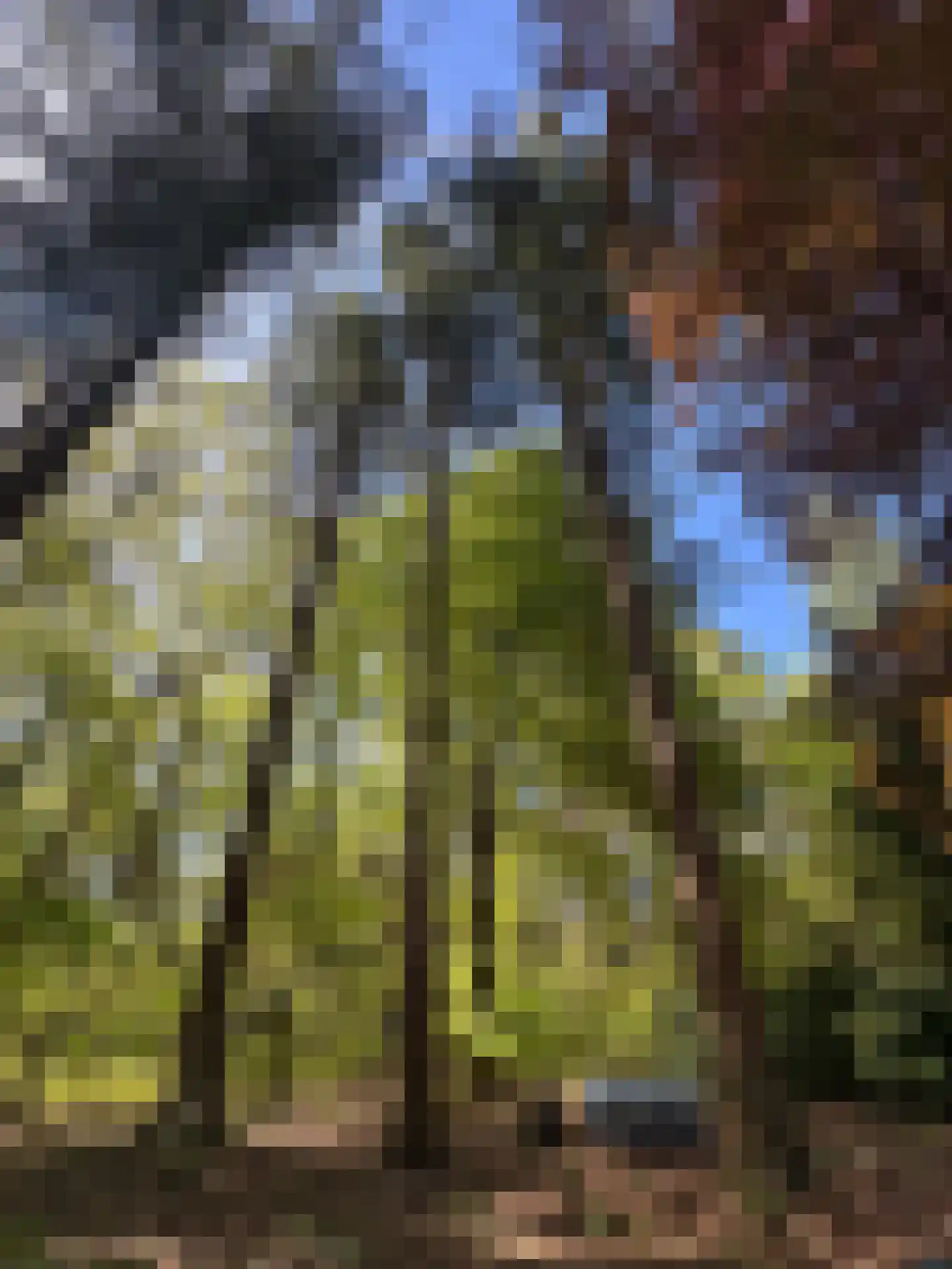 Kieftweg 15 Hierden thumbnail 94