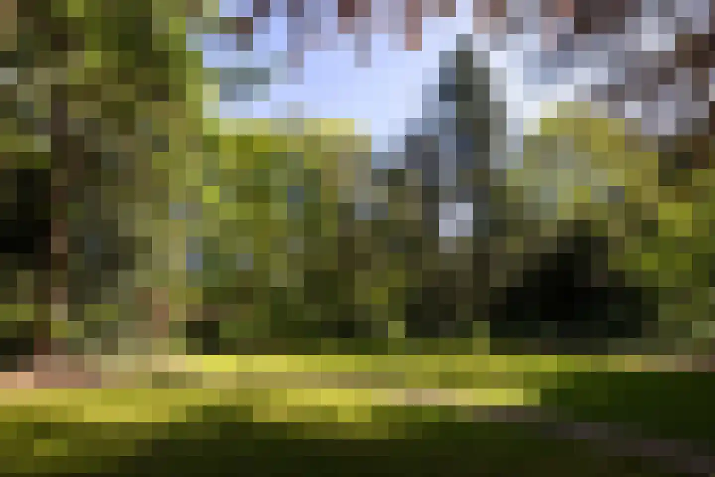 Kieftweg 15 Hierden thumbnail 95