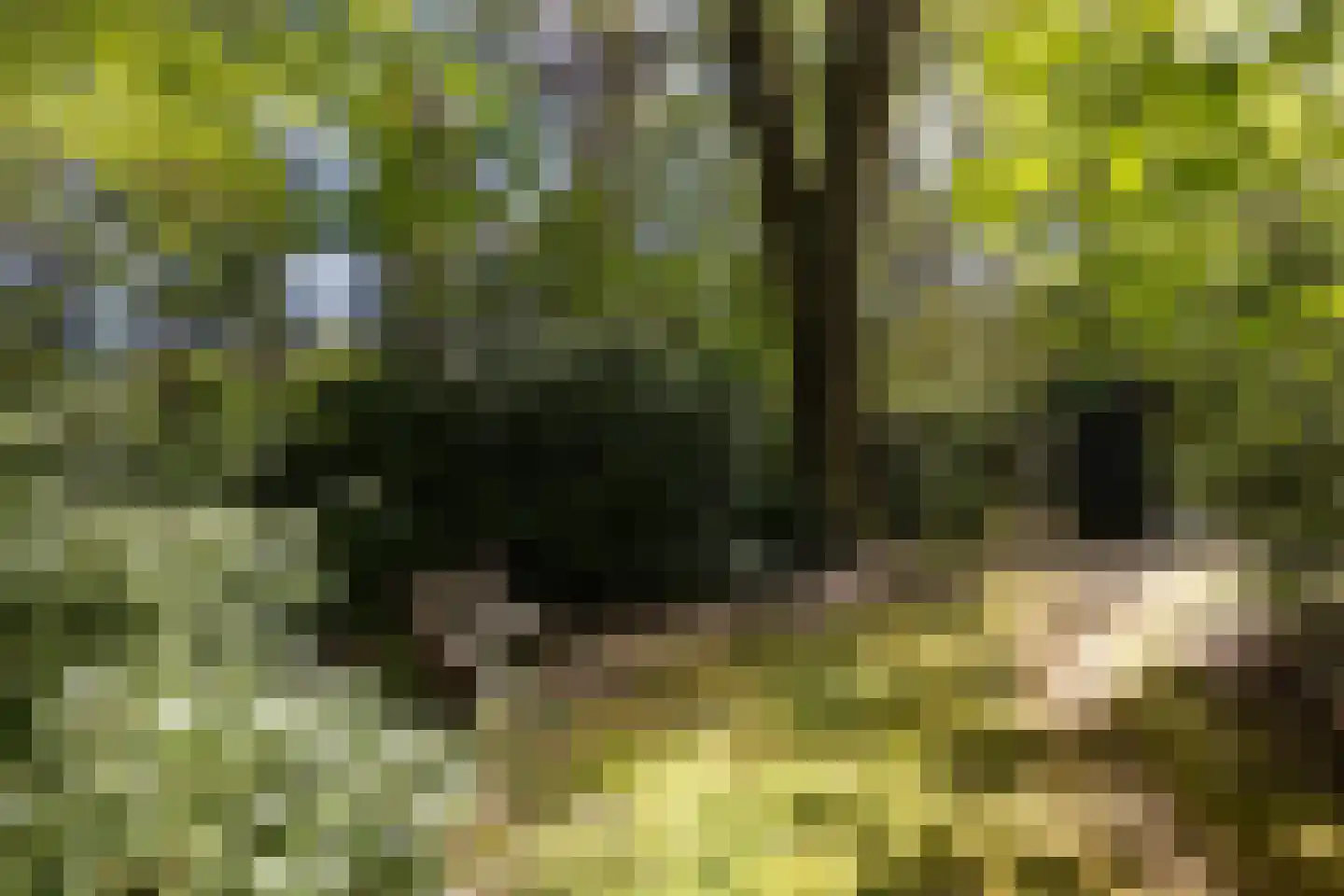 Kieftweg 15 Hierden thumbnail 97