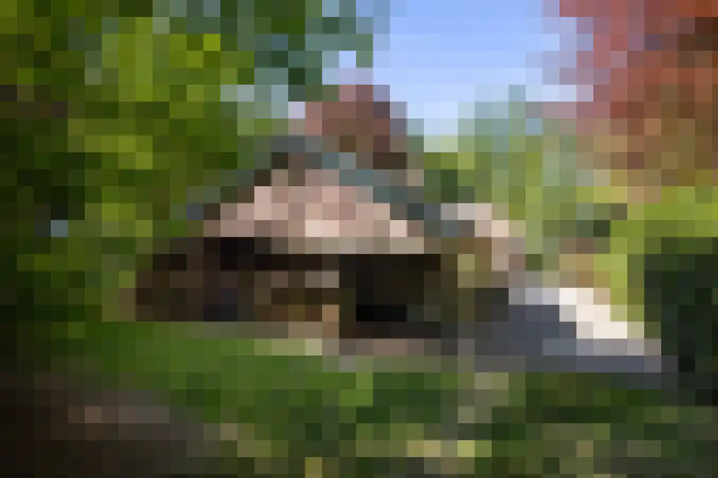 Kieftweg 15 Hierden thumbnail 98