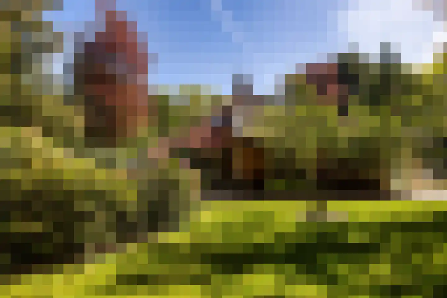 Kieftweg 15 Hierden thumbnail 99