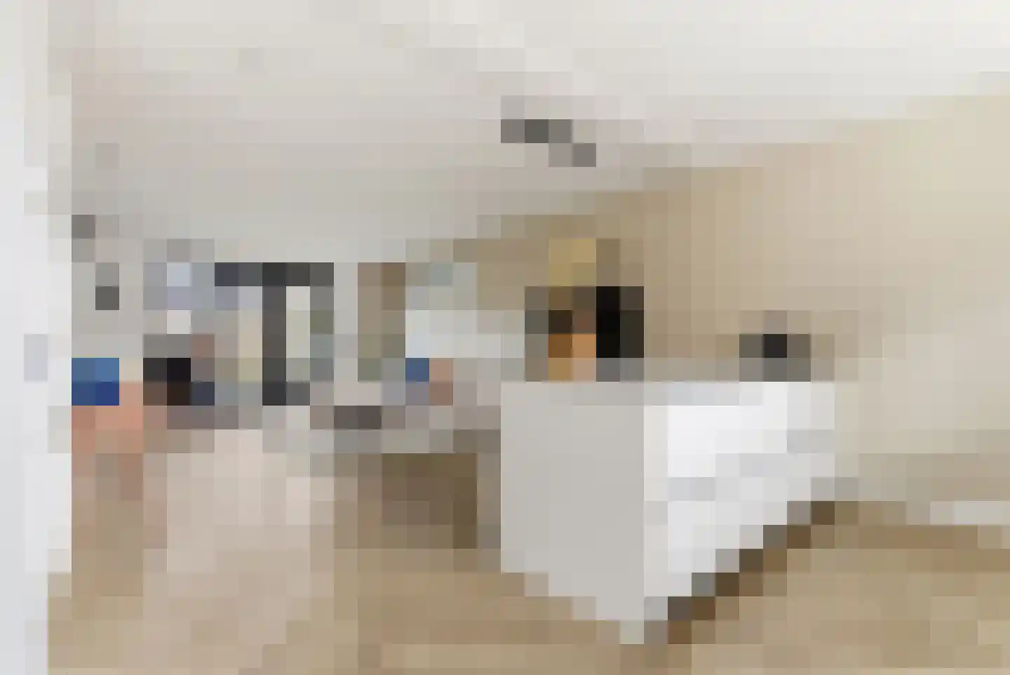 Kiekberg 5 Zeewolde thumbnail 17