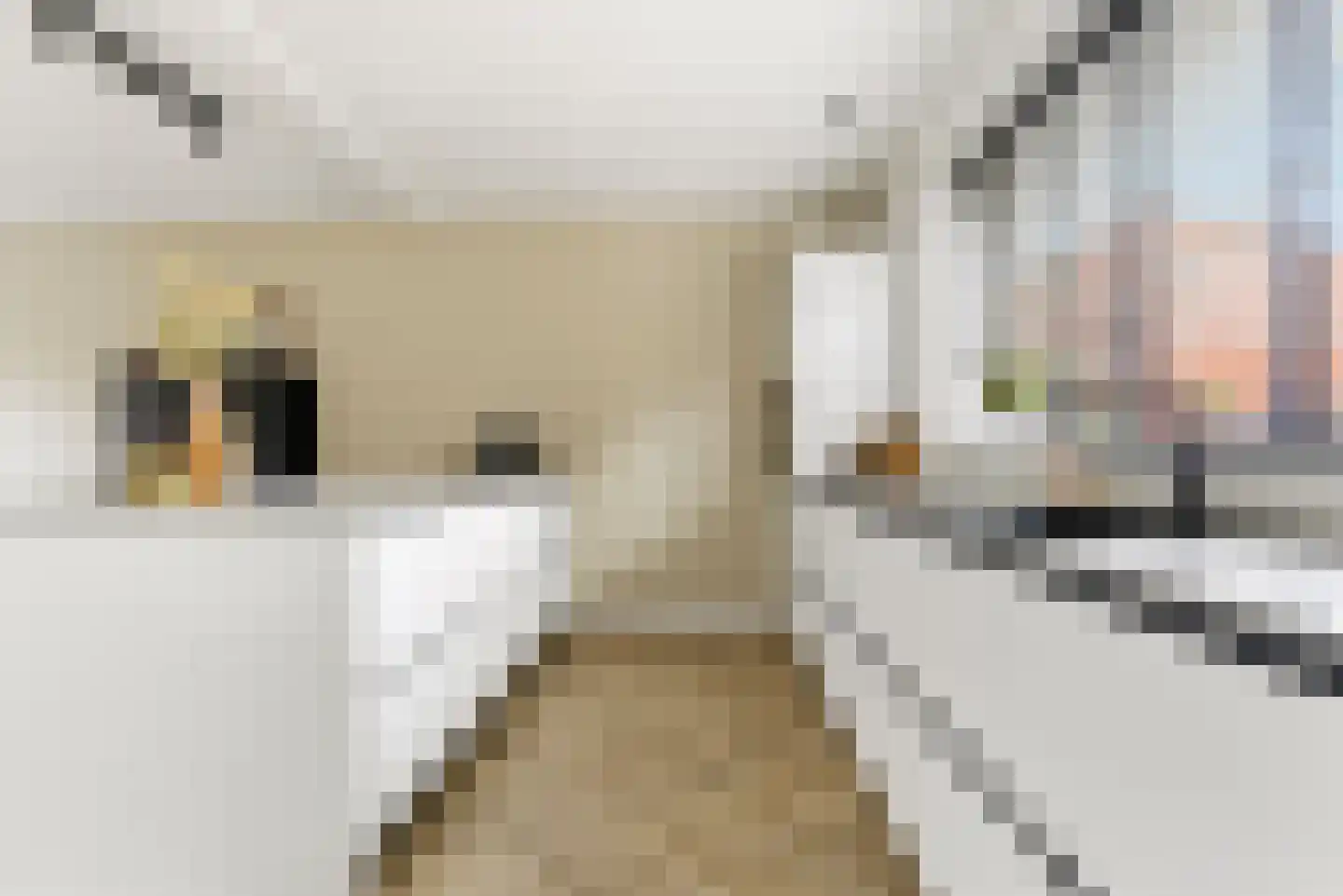 Kiekberg 5 Zeewolde thumbnail 20