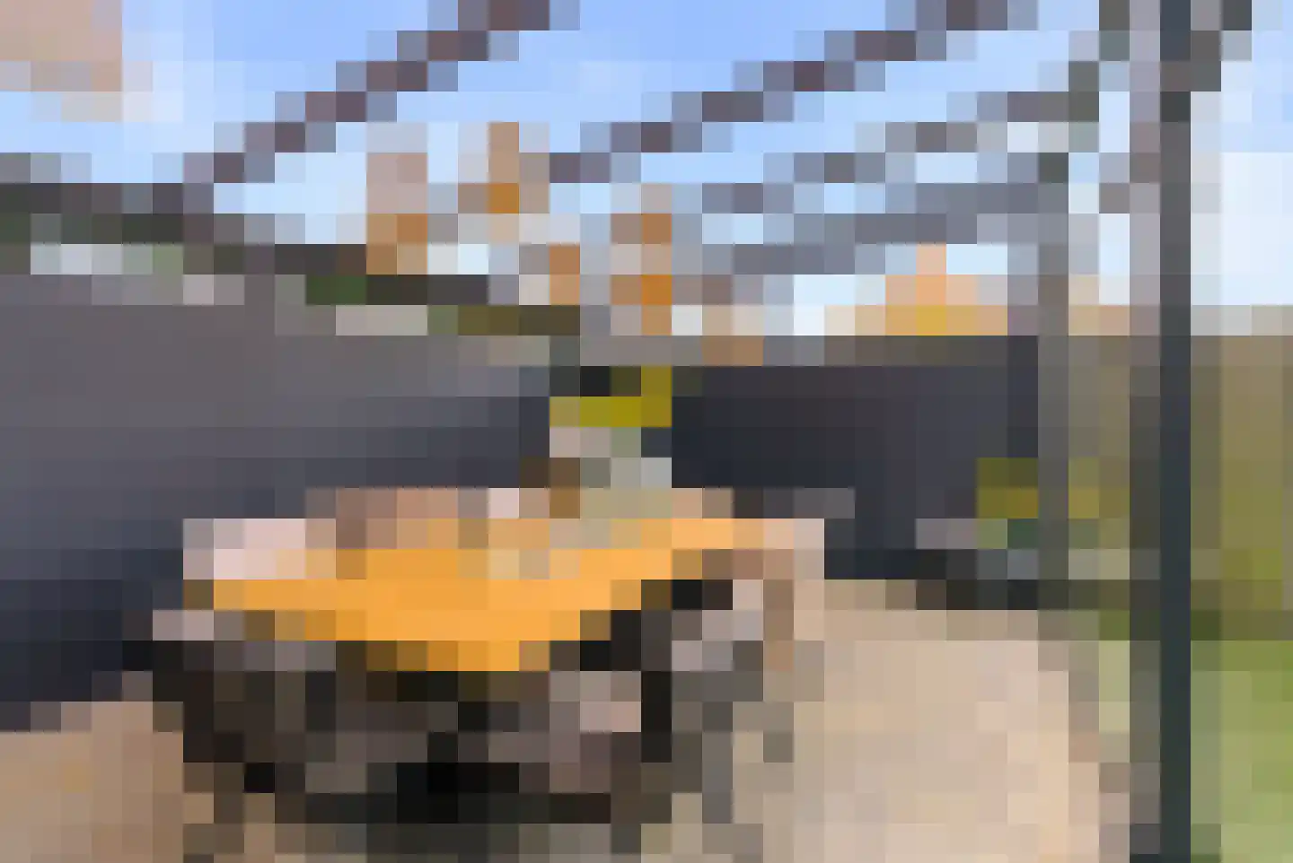 Kiekberg 5 Zeewolde thumbnail 60