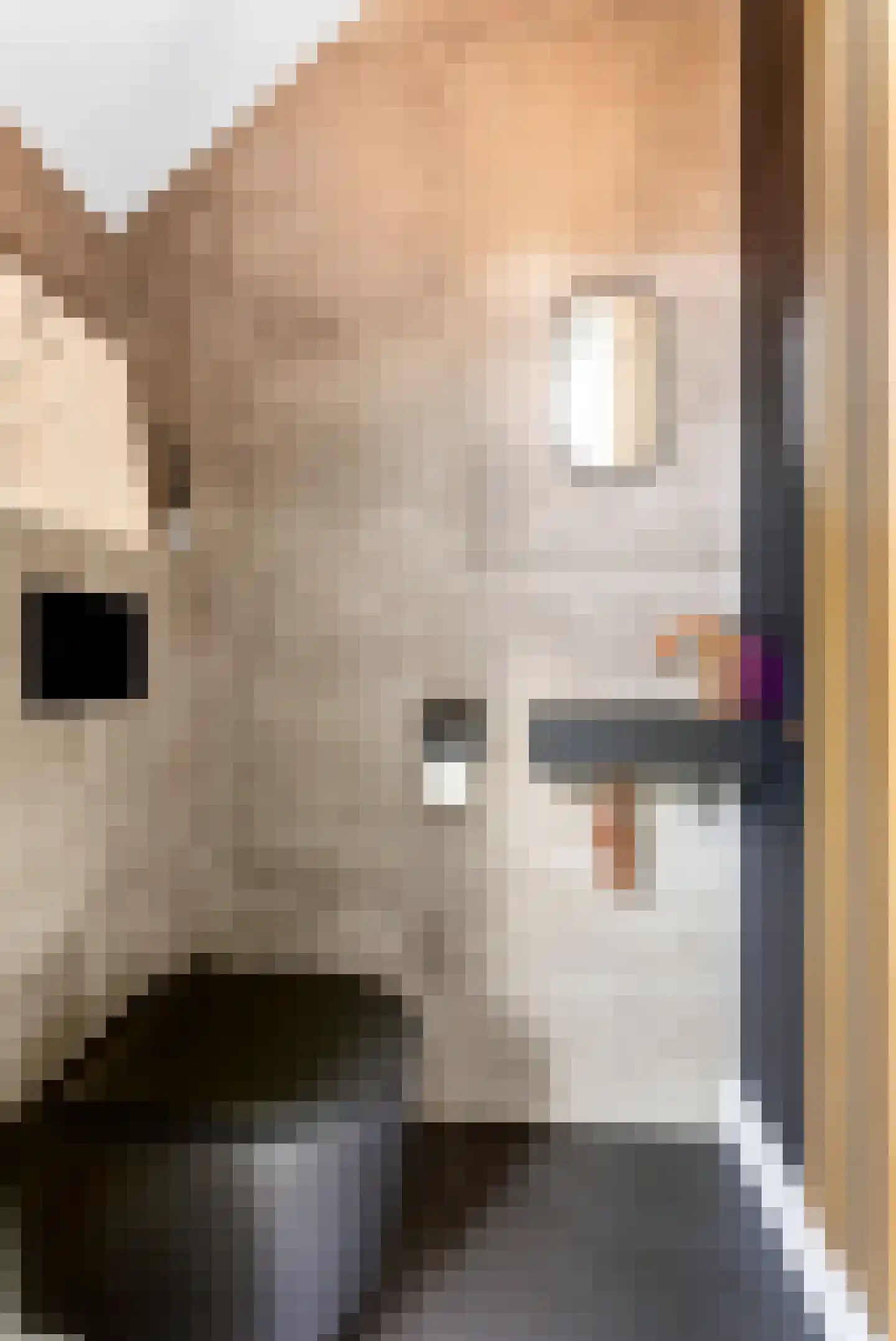 Kiekberg 5 Zeewolde thumbnail 8