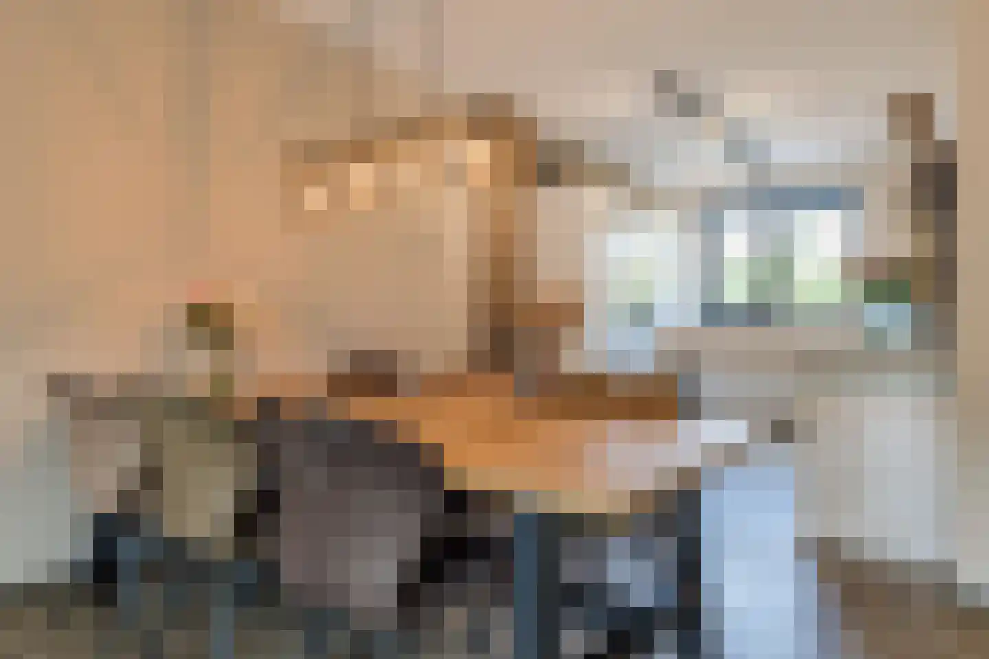 Kiekendief 17 Lichtenvoorde thumbnail 12