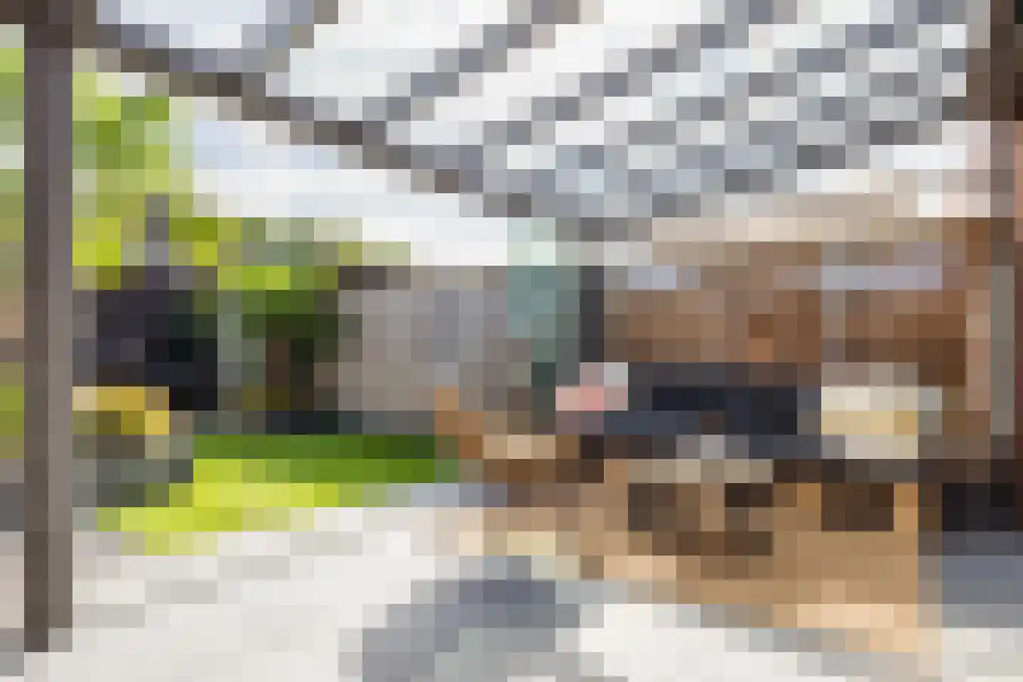 Kiekendief 17 Lichtenvoorde thumbnail 24