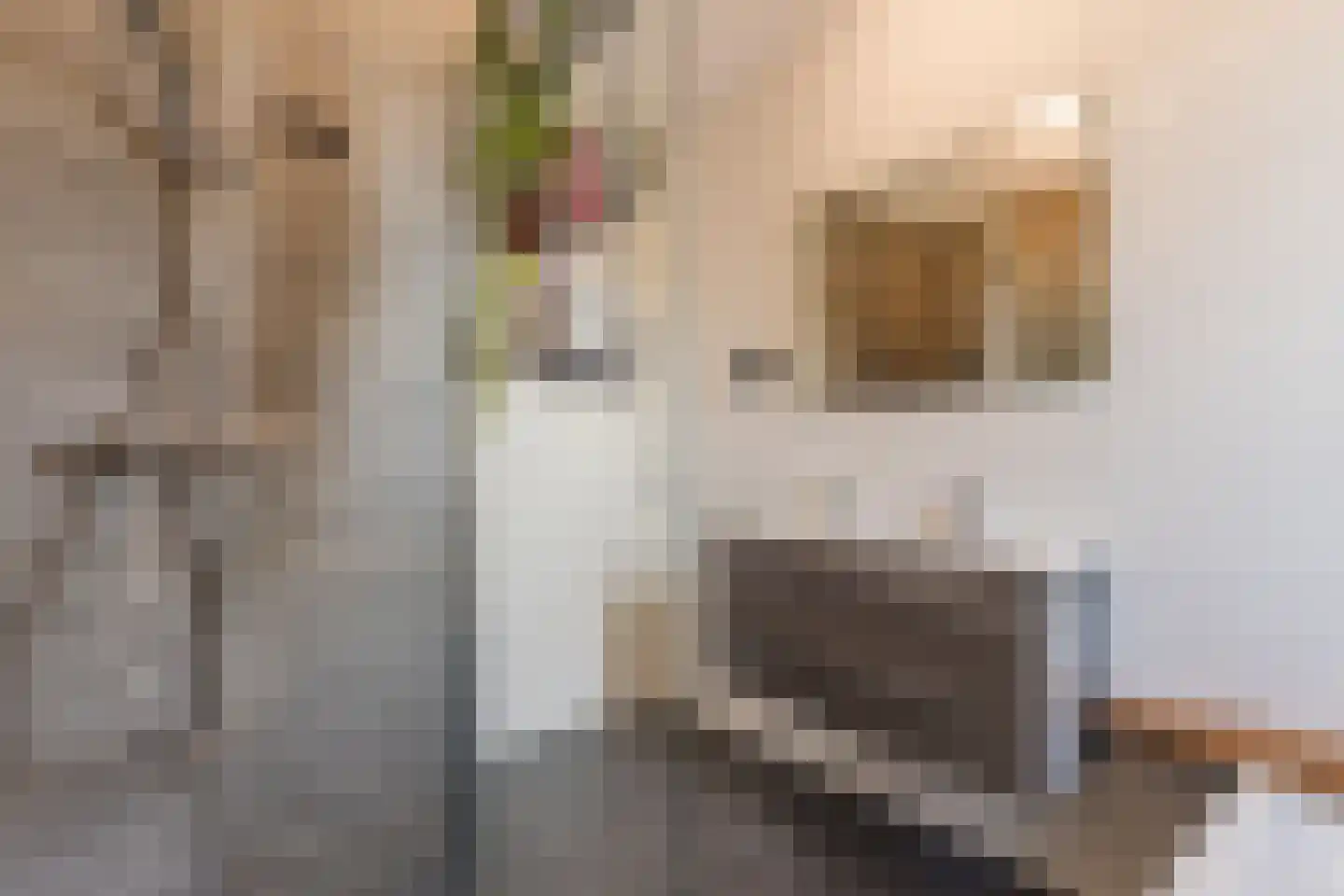Kiekendief 17 Lichtenvoorde thumbnail 4