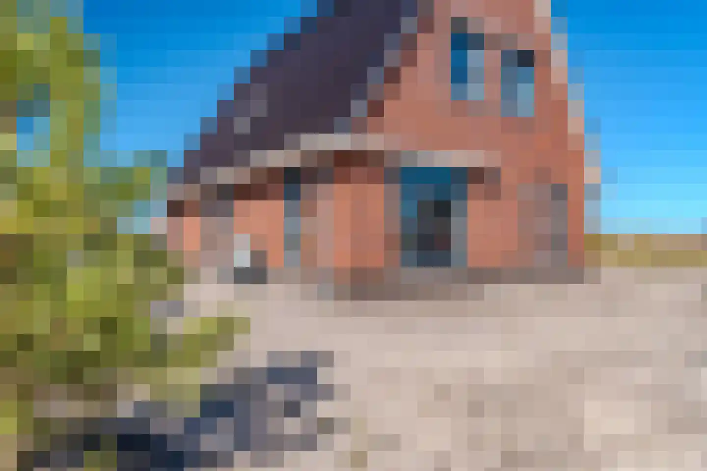 Kiekendief 19 Blauwestad thumbnail 10