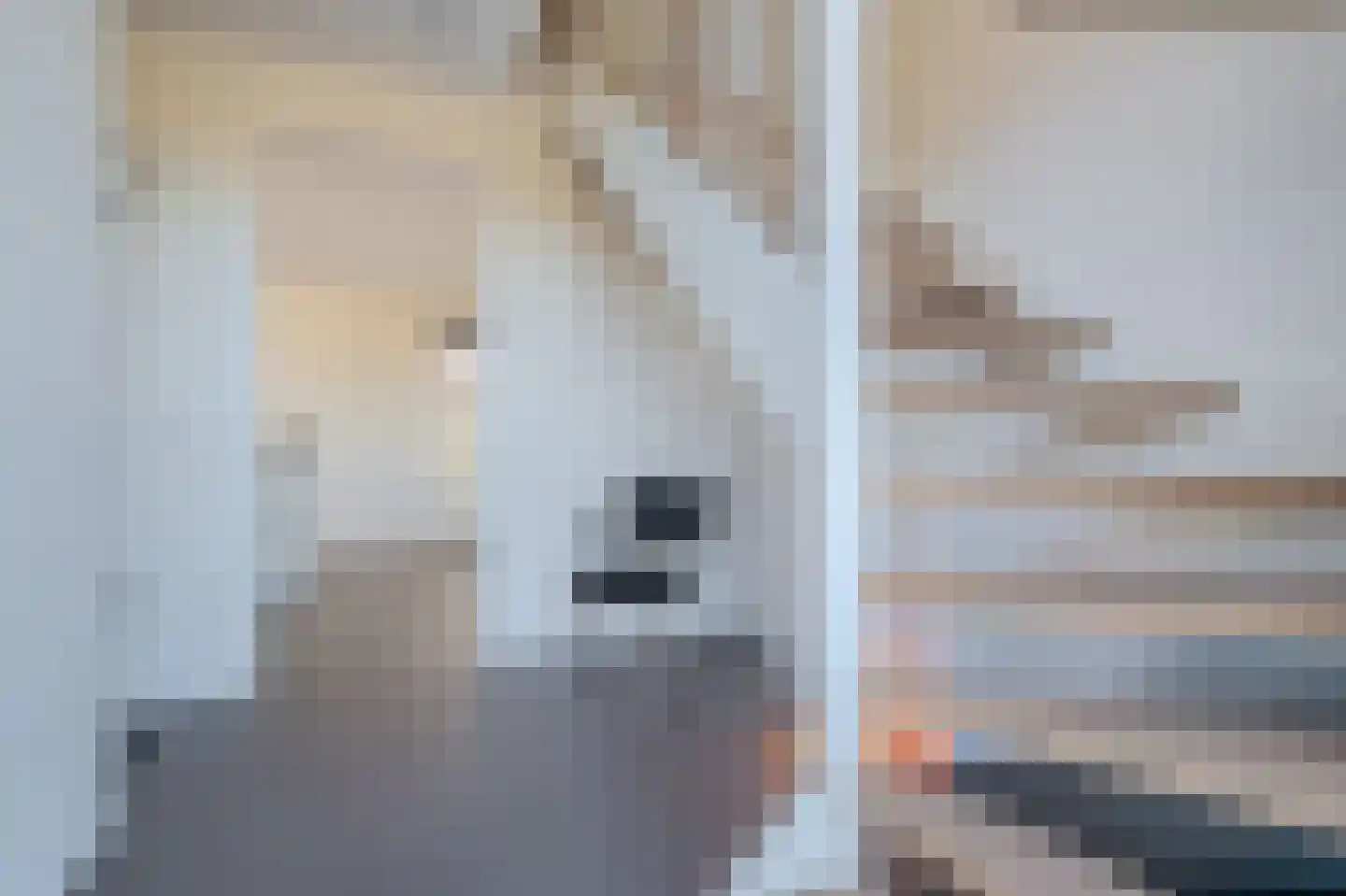 Kiekendief 19 Blauwestad thumbnail 14
