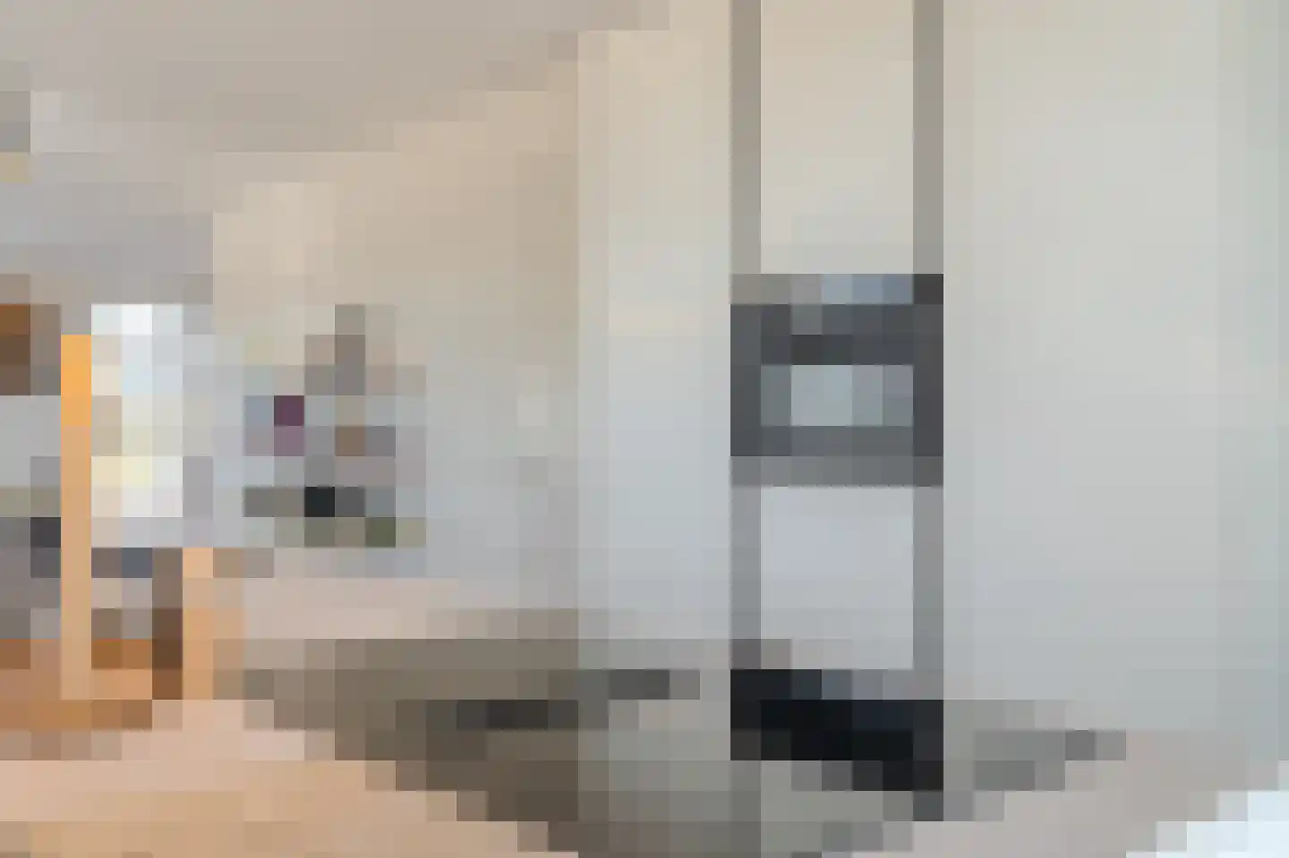 Kiekendief 19 Blauwestad thumbnail 32