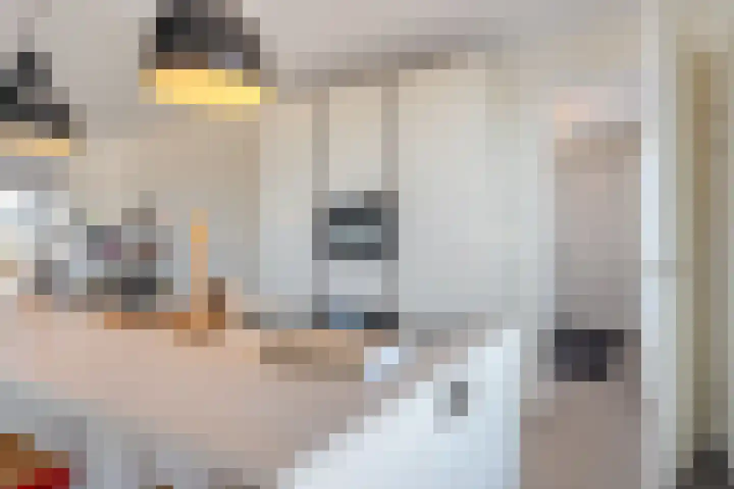 Kiekendief 19 Blauwestad thumbnail 33