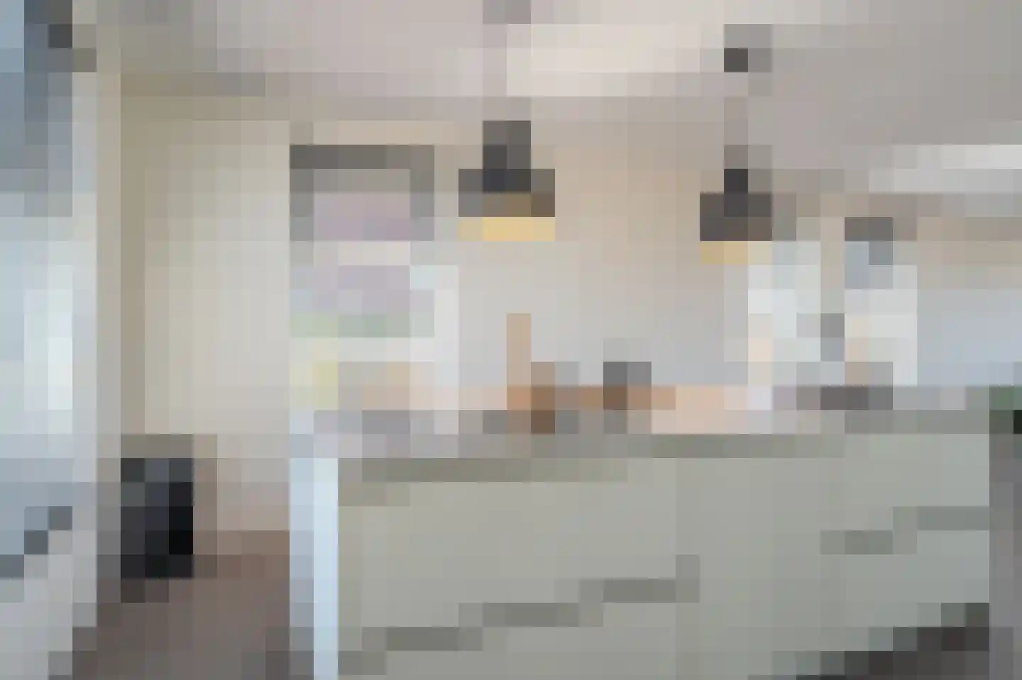 Kiekendief 19 Blauwestad thumbnail 34