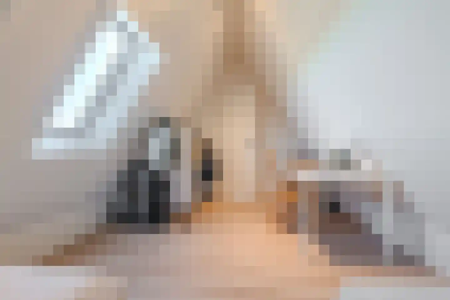 Kiekendief 19 Blauwestad thumbnail 52