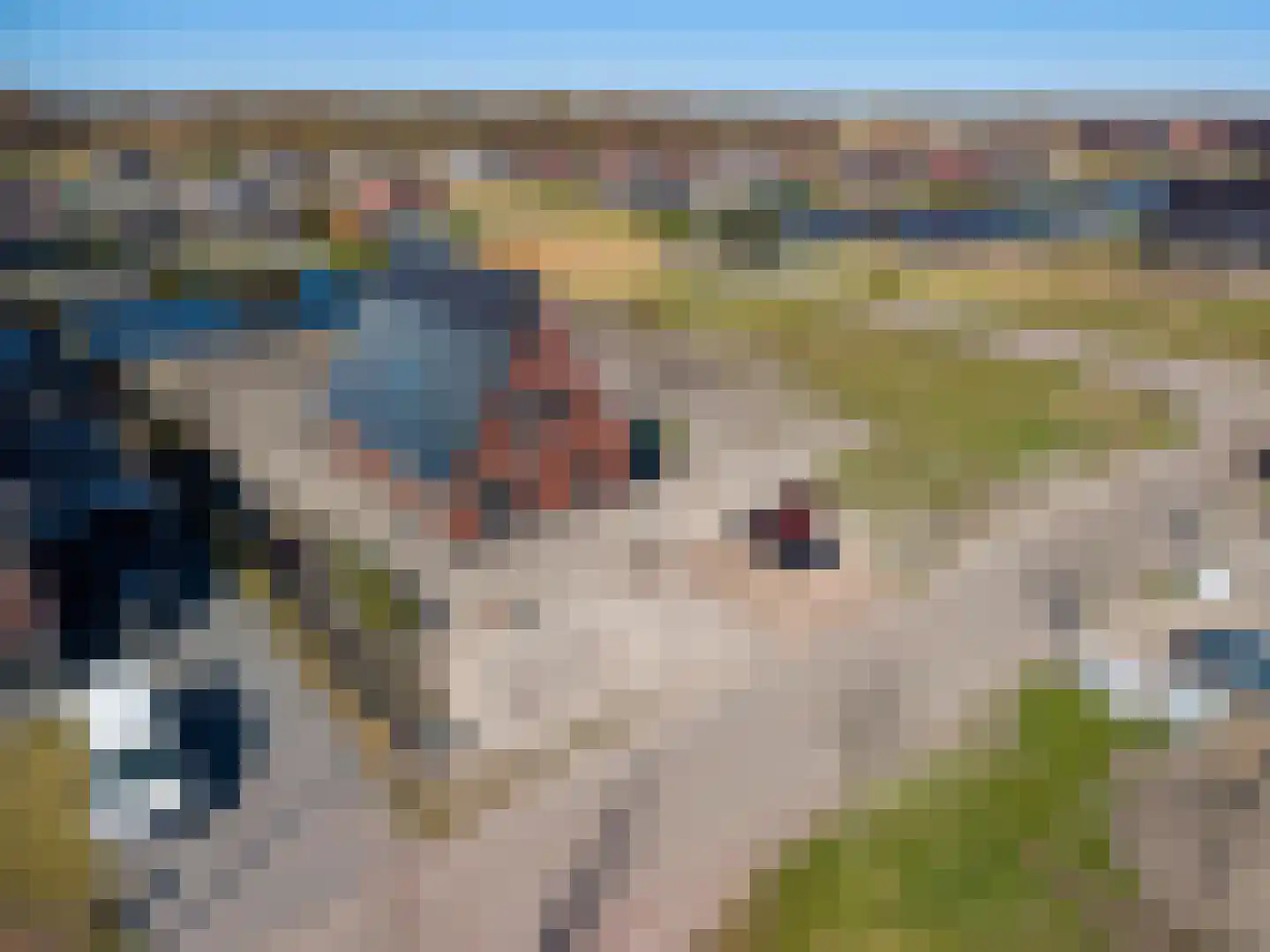 Kiekendief 19 Blauwestad thumbnail 55