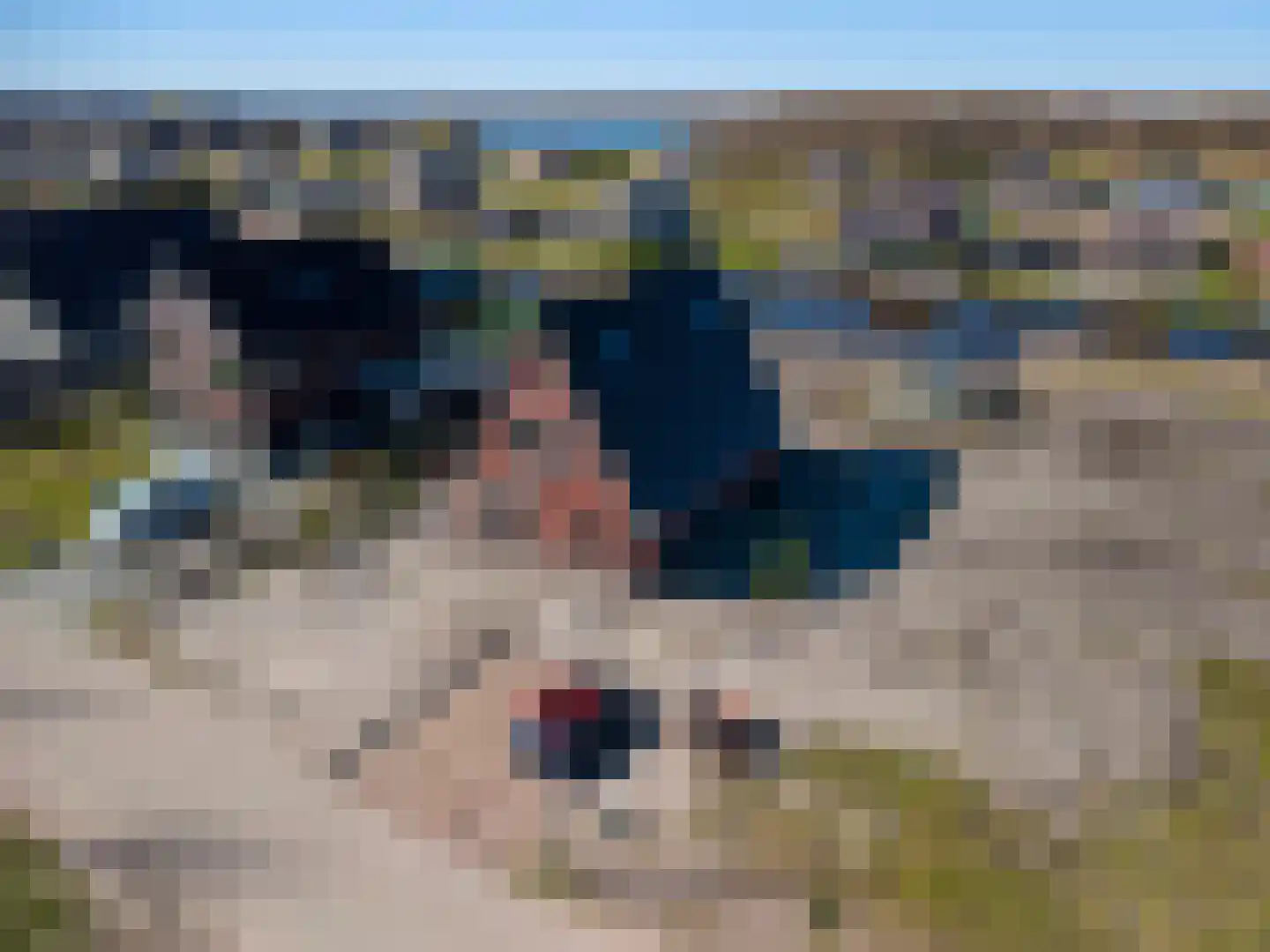 Kiekendief 19 Blauwestad thumbnail 67