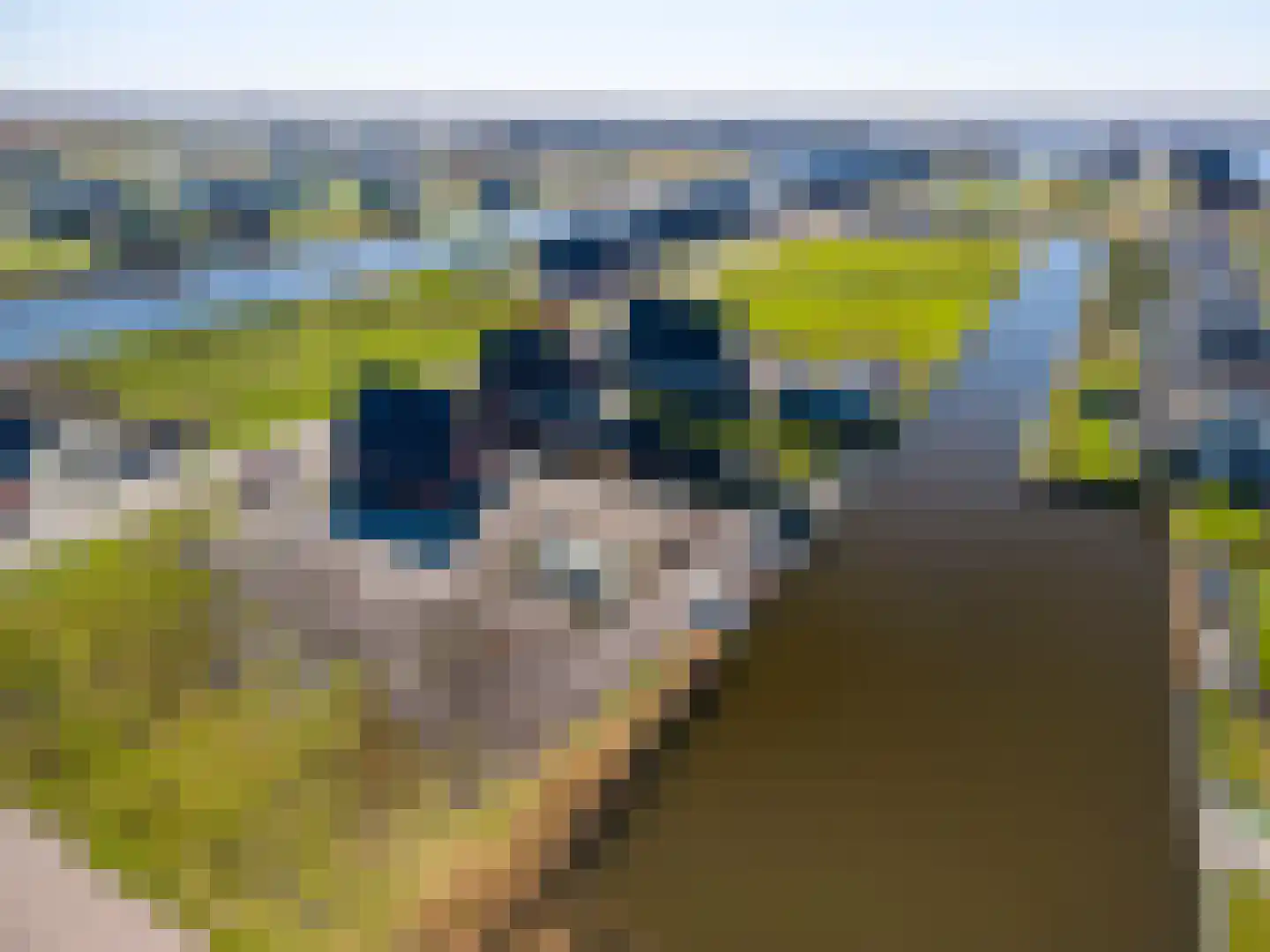Kiekendief 19 Blauwestad thumbnail 70