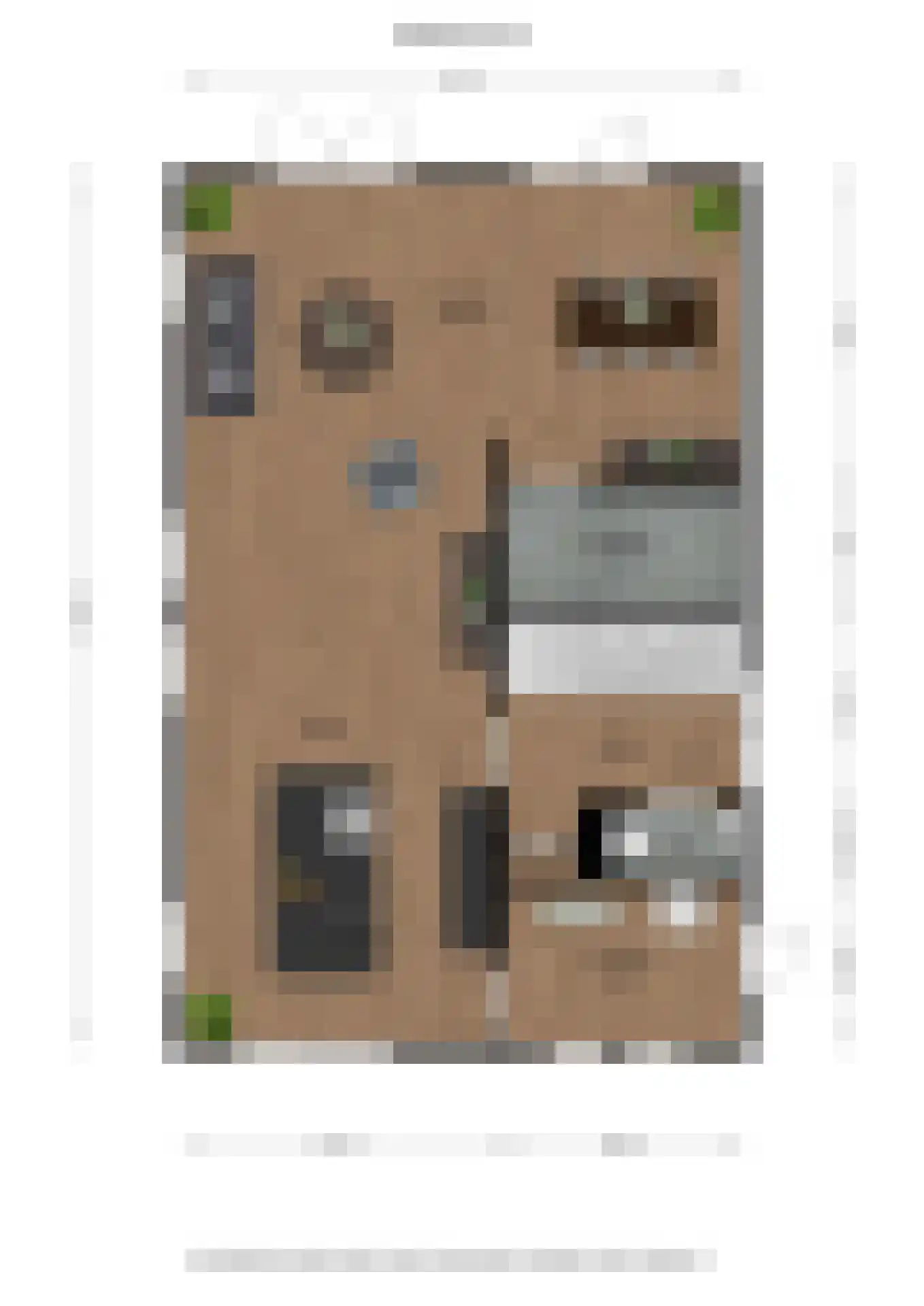 Kiekendief 19 Blauwestad thumbnail 75