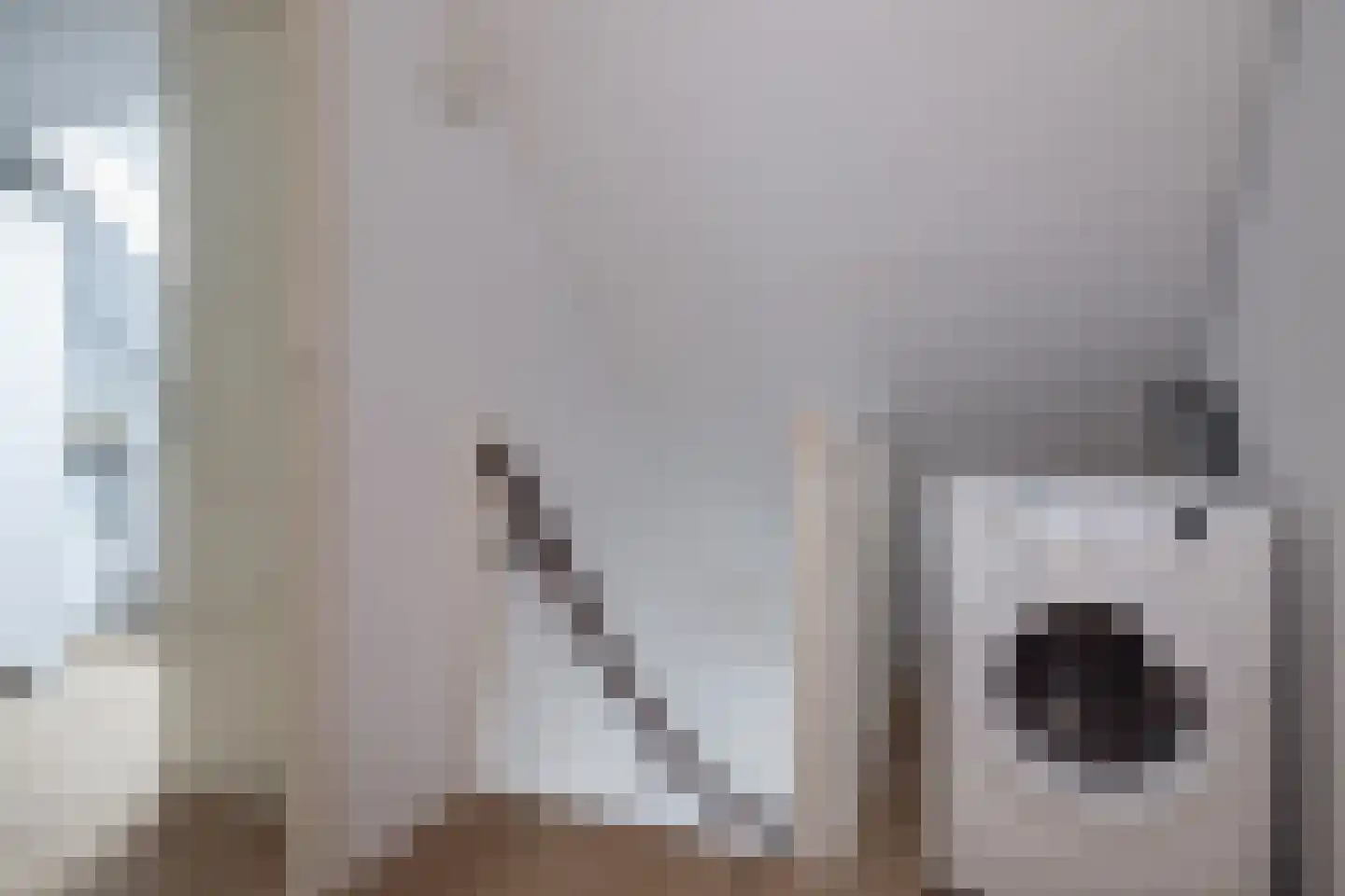 Kiekendief 22 Veldhoven thumbnail 54