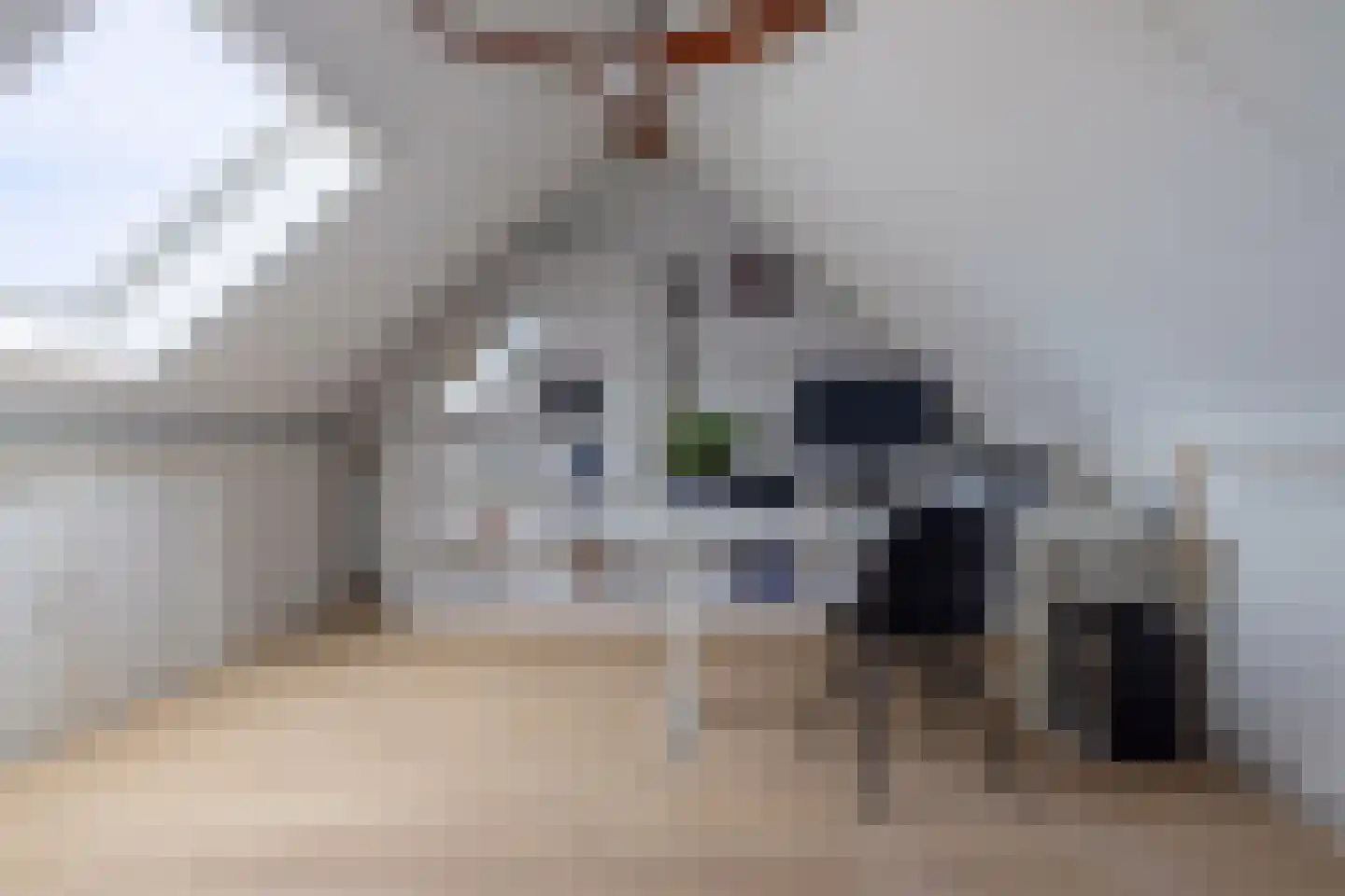 Kiekendief 22 Veldhoven thumbnail 56