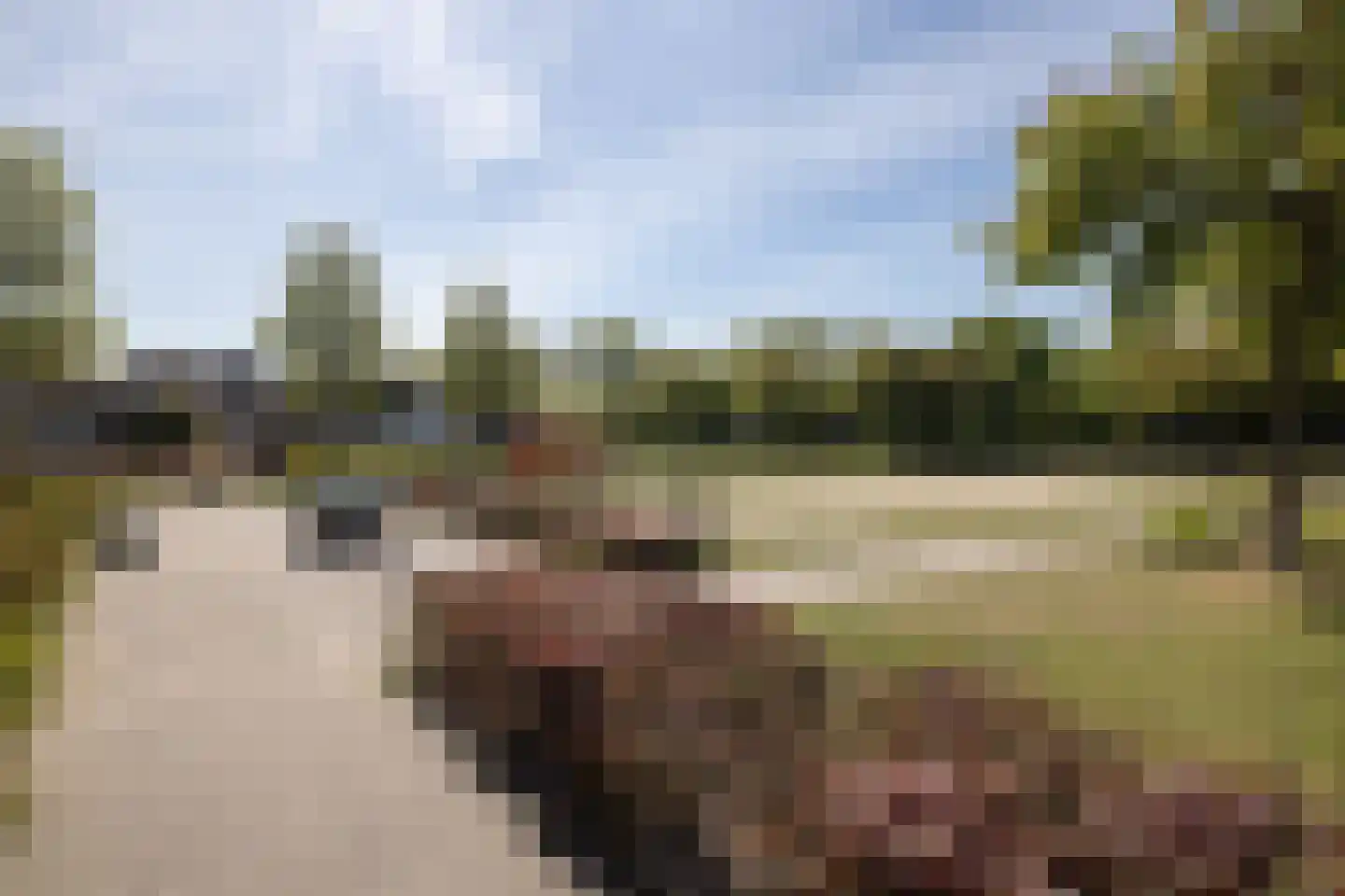 Kiekendief 22 Veldhoven thumbnail 8