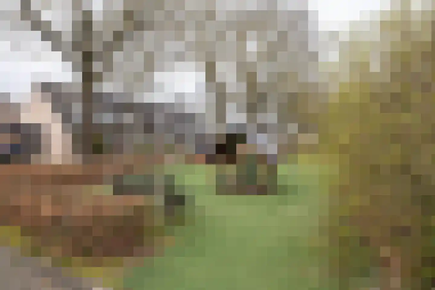 Kiekendief 22 Veldhoven thumbnail 9
