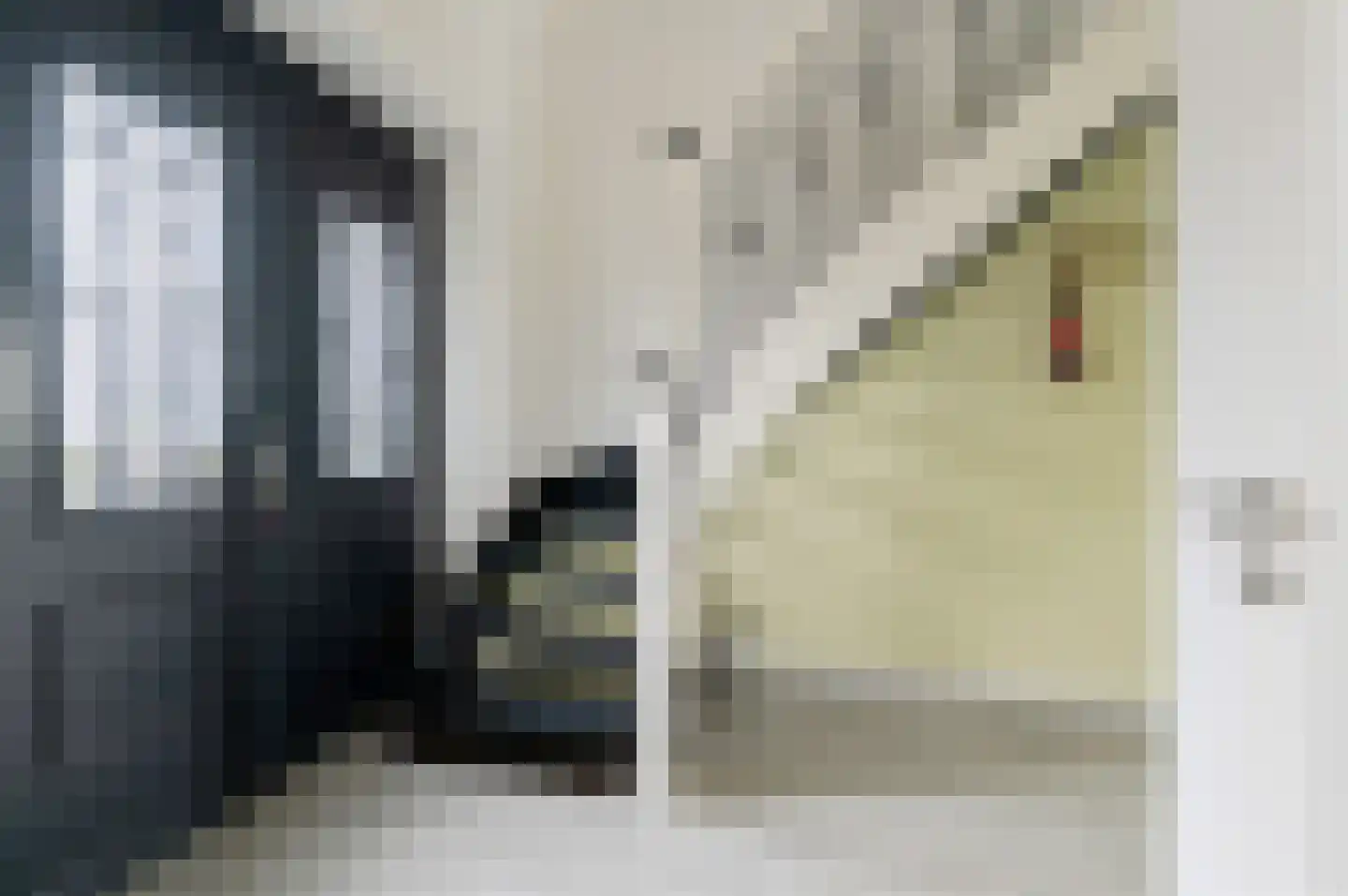 Kiekendief 28 Blauwestad thumbnail 18