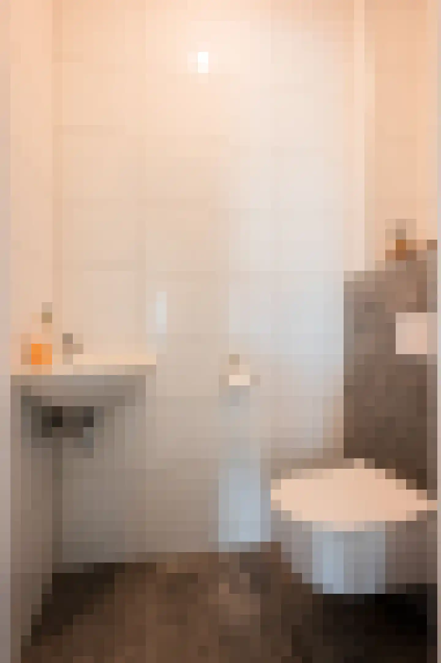 Kiekendief 28 Blauwestad thumbnail 20