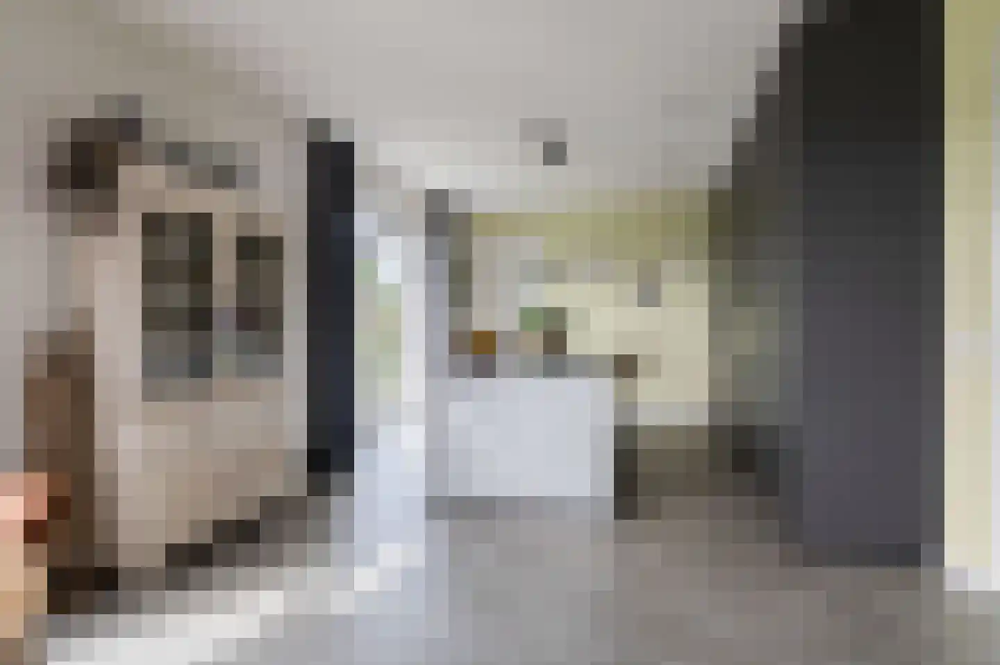 Kiekendief 28 Blauwestad thumbnail 22