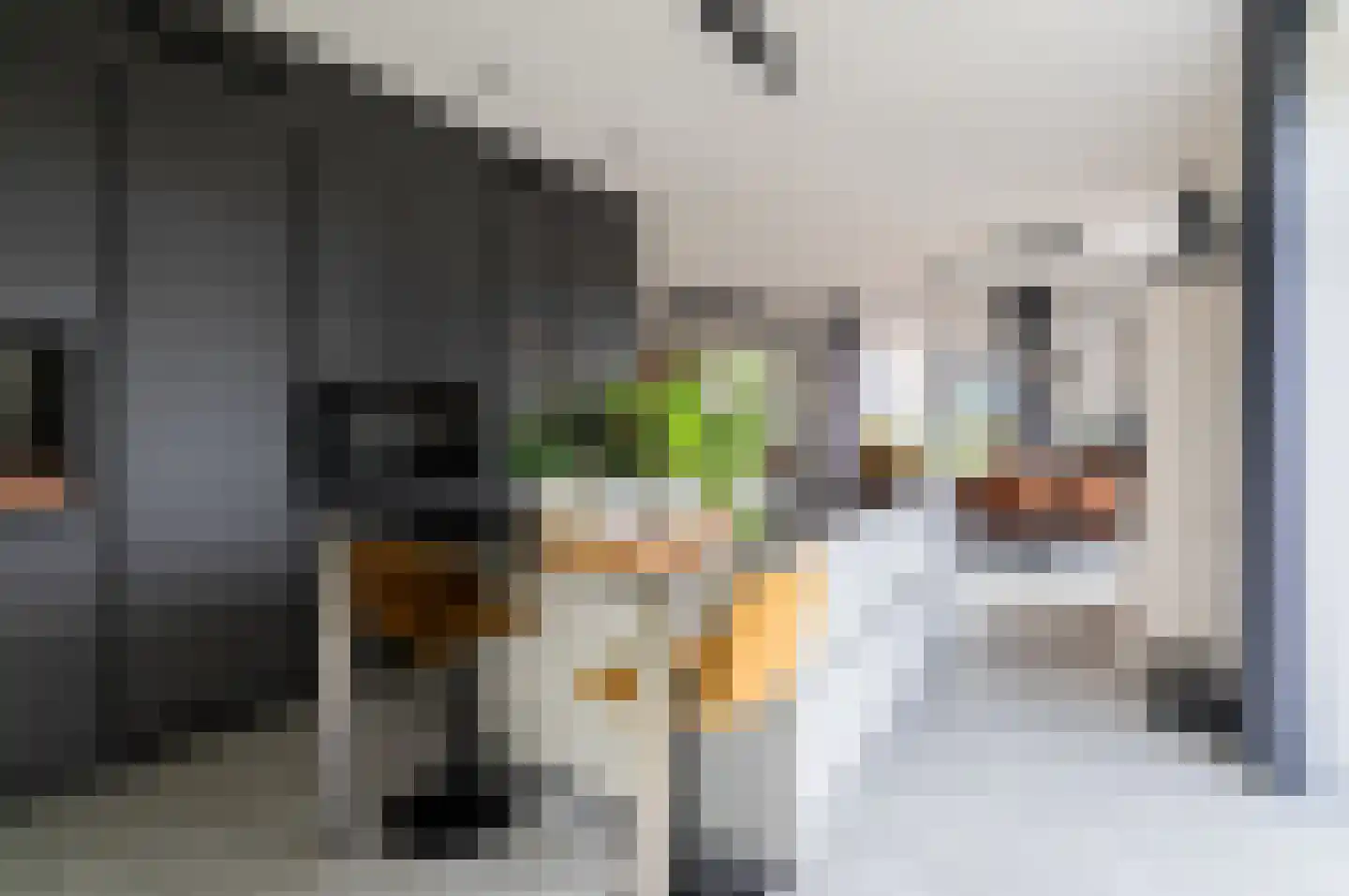 Kiekendief 28 Blauwestad thumbnail 25