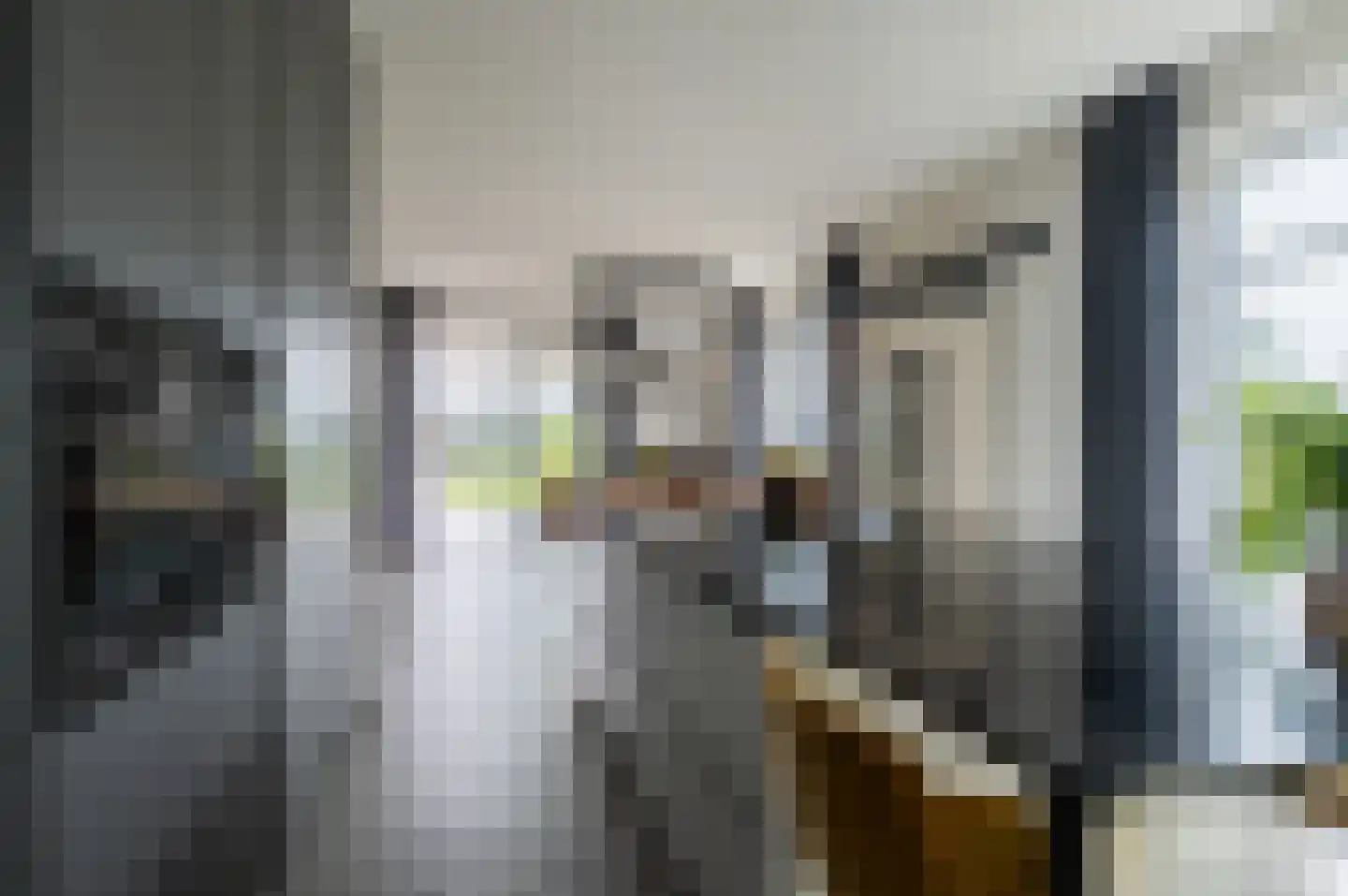 Kiekendief 28 Blauwestad thumbnail 26