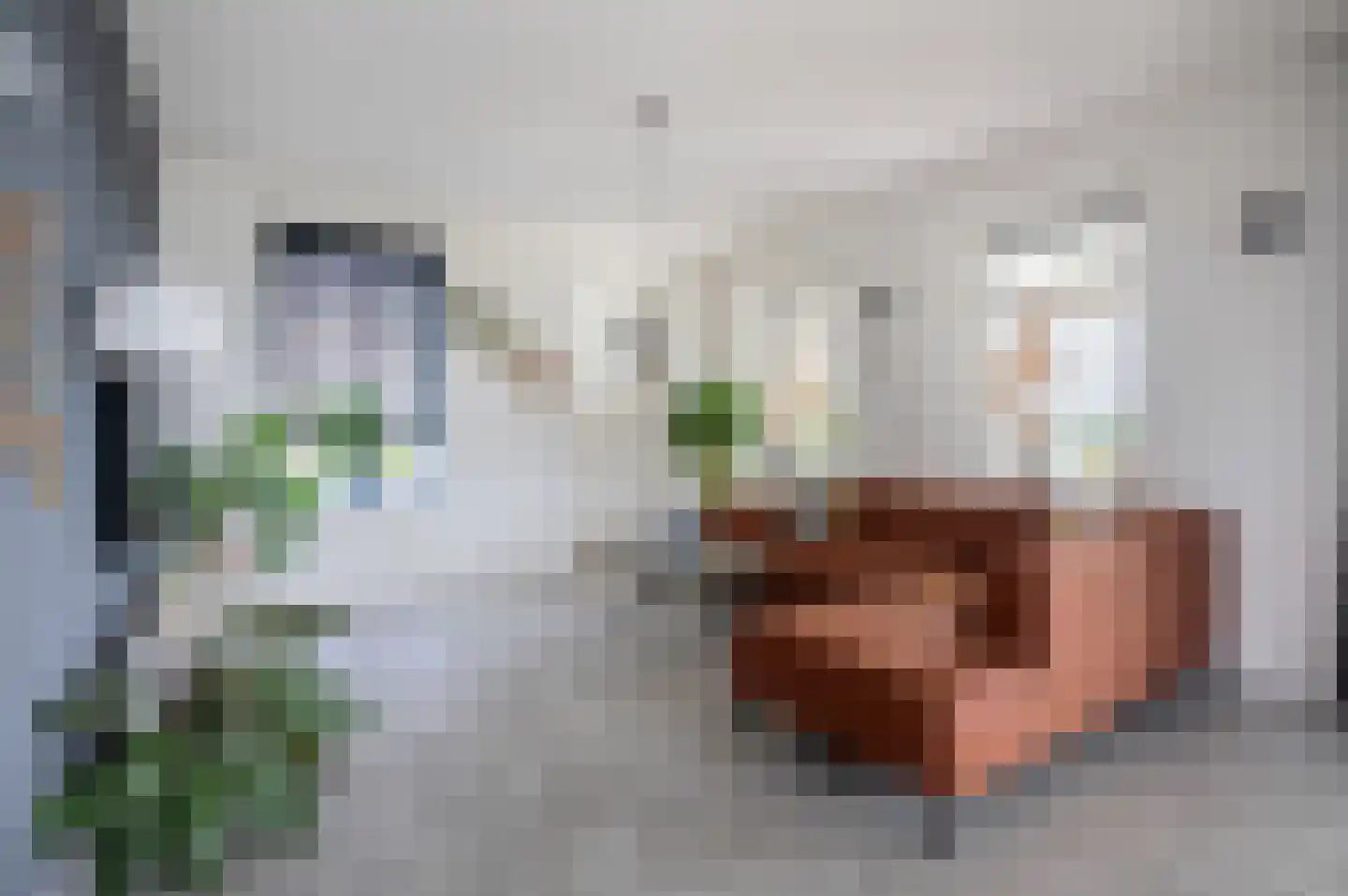 Kiekendief 28 Blauwestad thumbnail 30