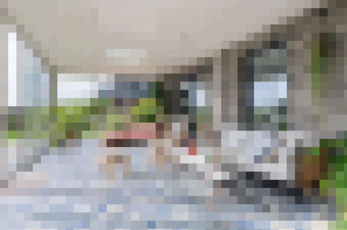 Kiekendief 28 Blauwestad thumbnail 36