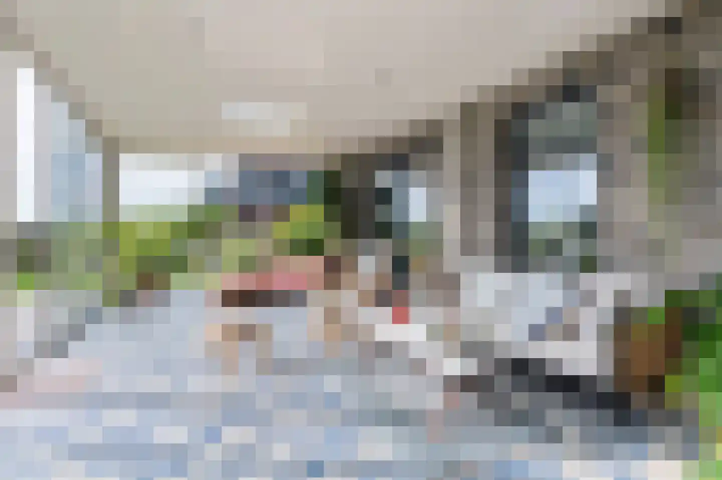 Kiekendief 28 Blauwestad thumbnail 4