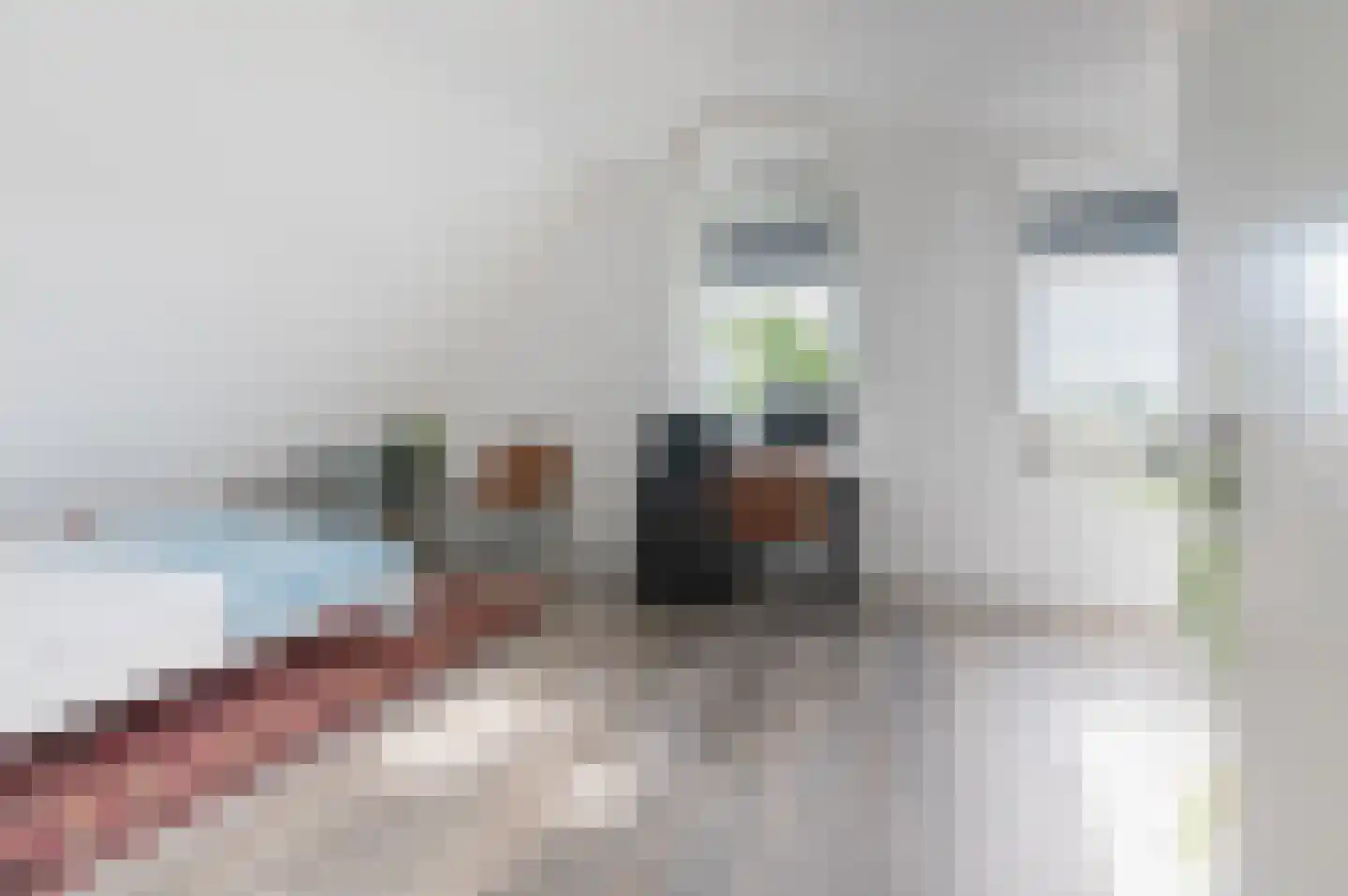 Kiekendief 28 Blauwestad thumbnail 44